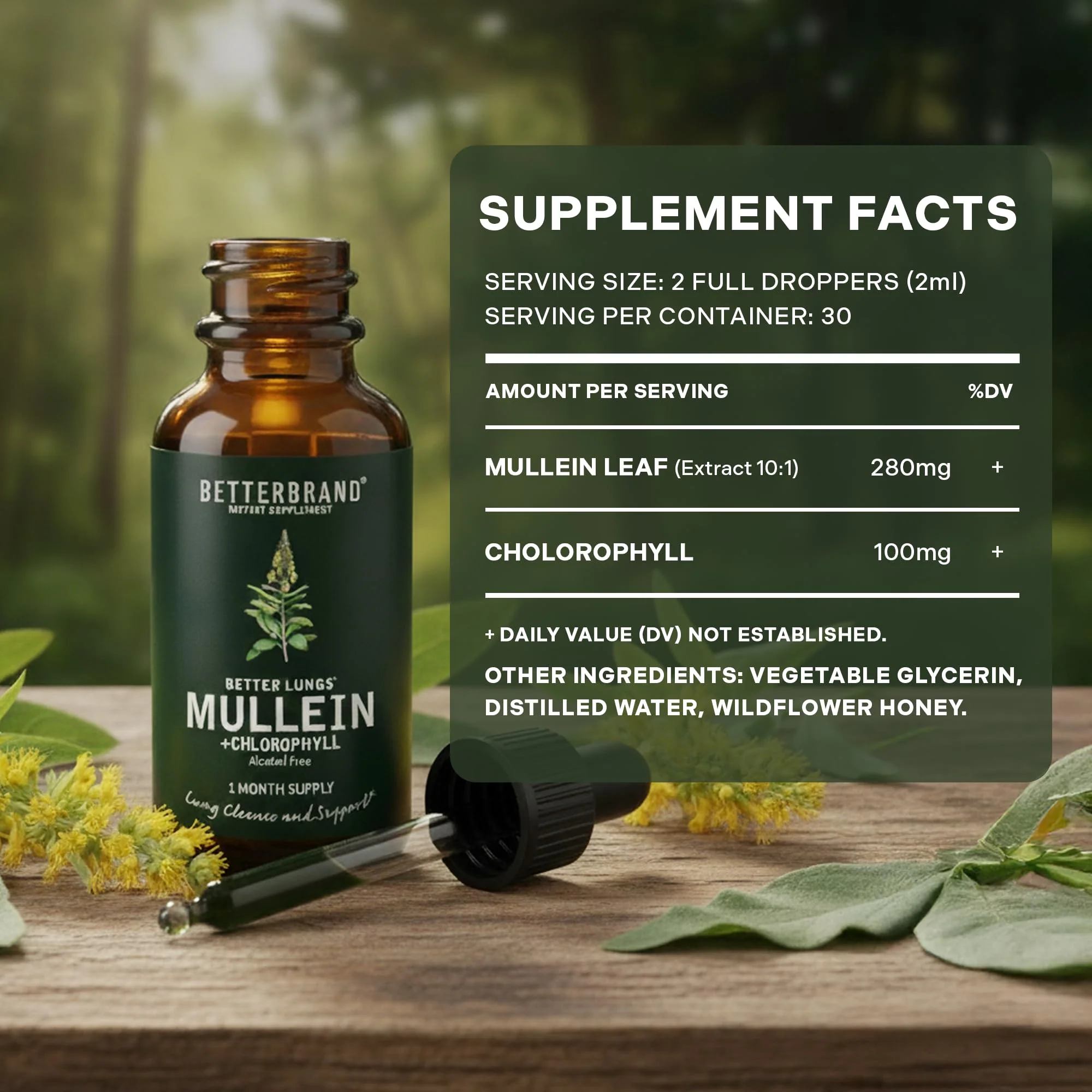 Betterbrand Mullein Drops for Lung Detox - Mullein Leaf Tincture with Chlorophyll - Helps Support Respiratory Health, Alcohol-Free, 1 Month Supply - 60ml - Image 2