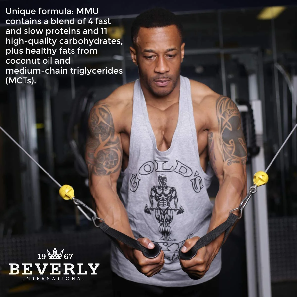 Beverly International Mass Maker Ultra Vanilla, 14 Servings, 3lb. Build Lean Mass Like a Pro. Milk Protein Isolate, Whey Protein Isolate + Egg. MCT Oil. Clean Carbs, Great Taste - Image 5