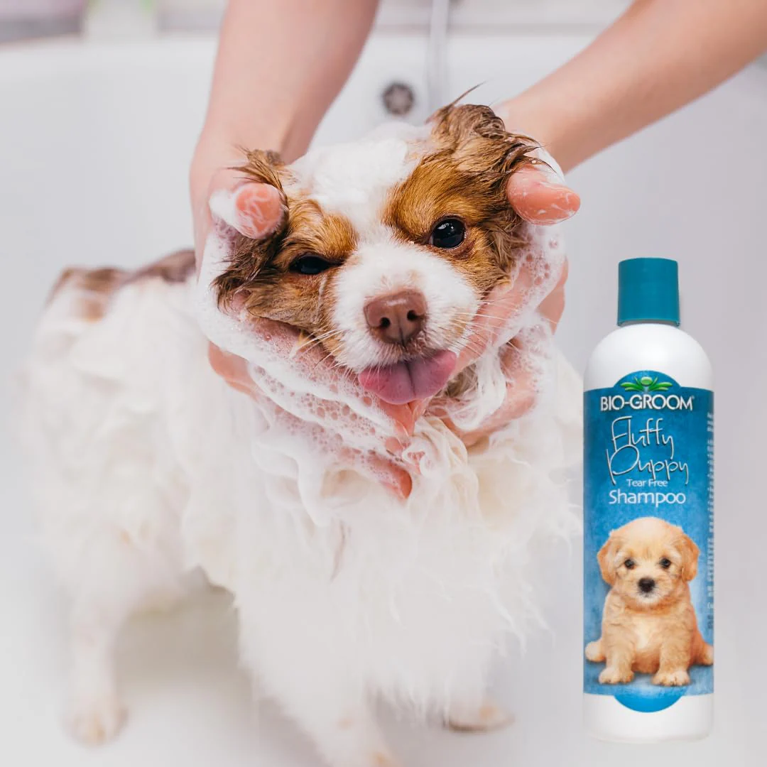 Bio-Groom Fluffy Puppy Tear-Free Shampoo – Dog Bathing Supplies, Puppy Shampoo, Cat & Dog Grooming Supplies for Sensitive Skin, Cruelty-Free, Made in USA, Tearless Dog Products – 12 fl oz 1-Pack - Image 7
