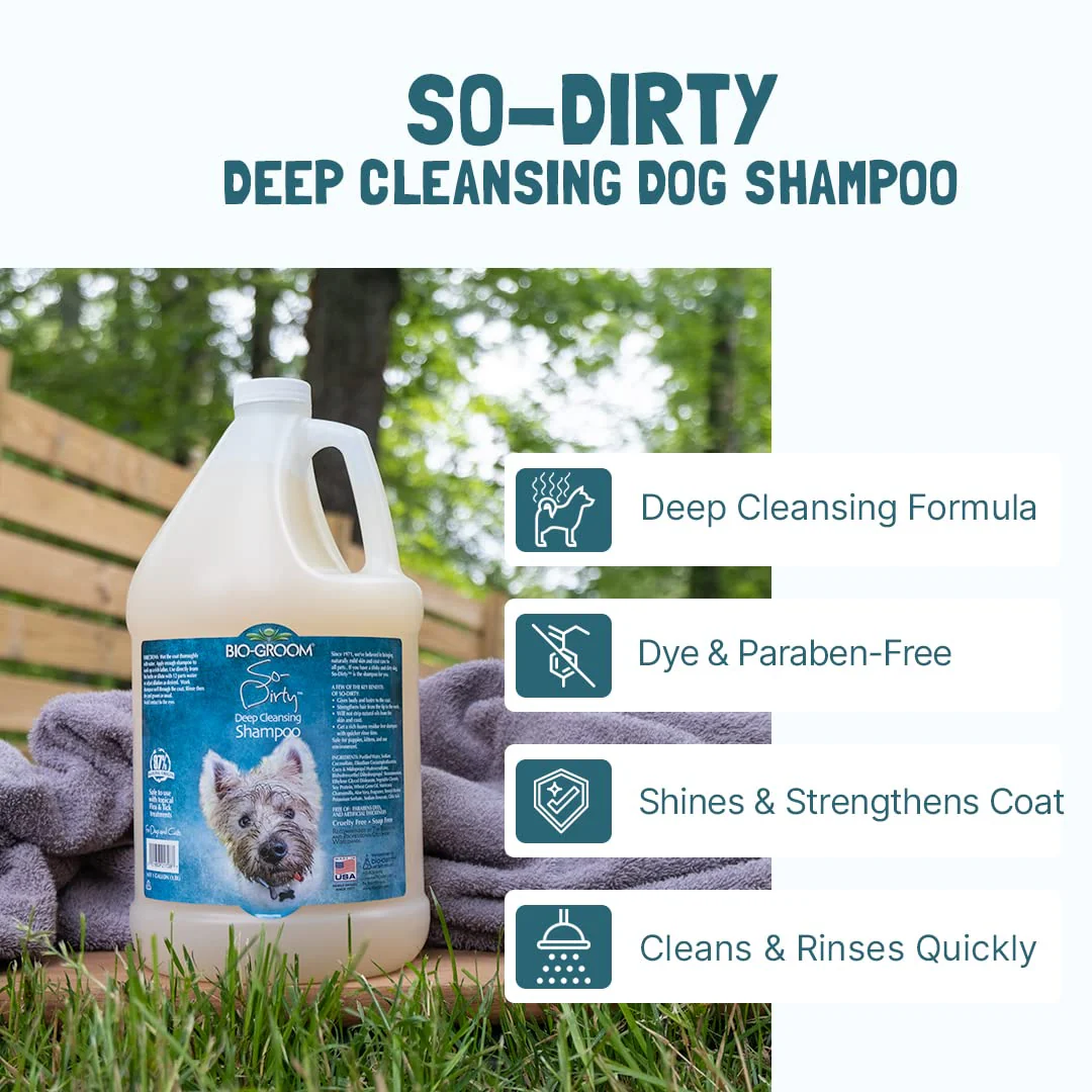 Bio-Groom So-Dirty Dog Shampoo - Quick Rinse Pet Shampoo, Dog Bathing Supplies, Puppy Wash, Grooming Supplies, Cruelty-Free, Made in USA - 12 fl oz 1-Pack - Image 2