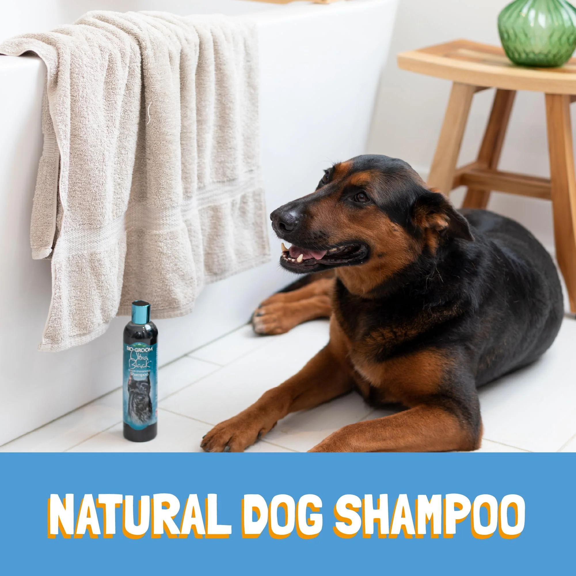 Bio-Groom Ultra-Black Dog Shampoo – Color Enhancing Pet Shampoo, Dog Bathing Supplies, Puppy Wash, Dog Grooming Supplies, Cruelty-Free, Made in USA, Coat Brightener Shampoo – 12 fl oz 1-Pack - Image 5