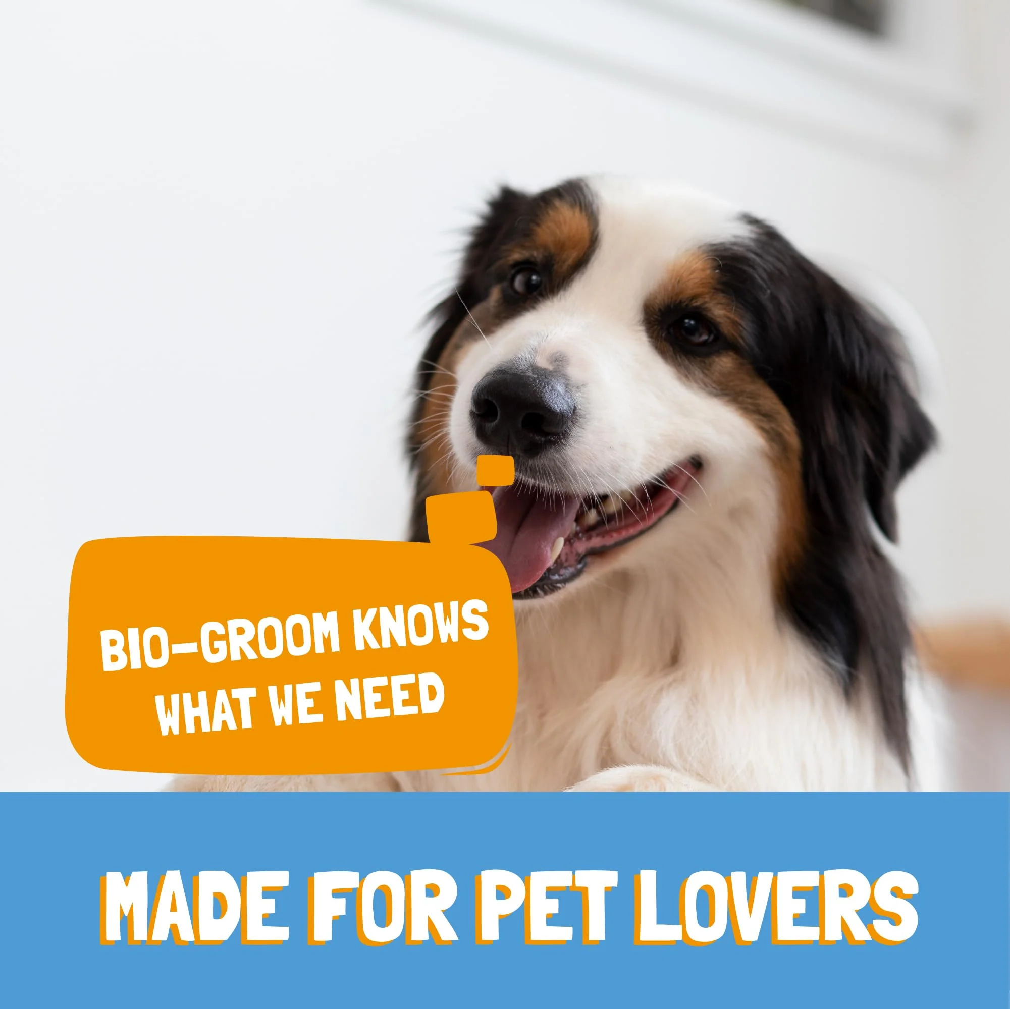 Bio-Groom Wild Honeysuckle Dog Shampoo - Natural Scent Pet Shampoo, Aloe Vera, Chamomile, Cat & Dog Bathing Supplies, Puppy Wash, Cruelty-Free, Made in USA, Quick Rinse Cat Shampoo - 12 fl oz 1-Pack - Image 3