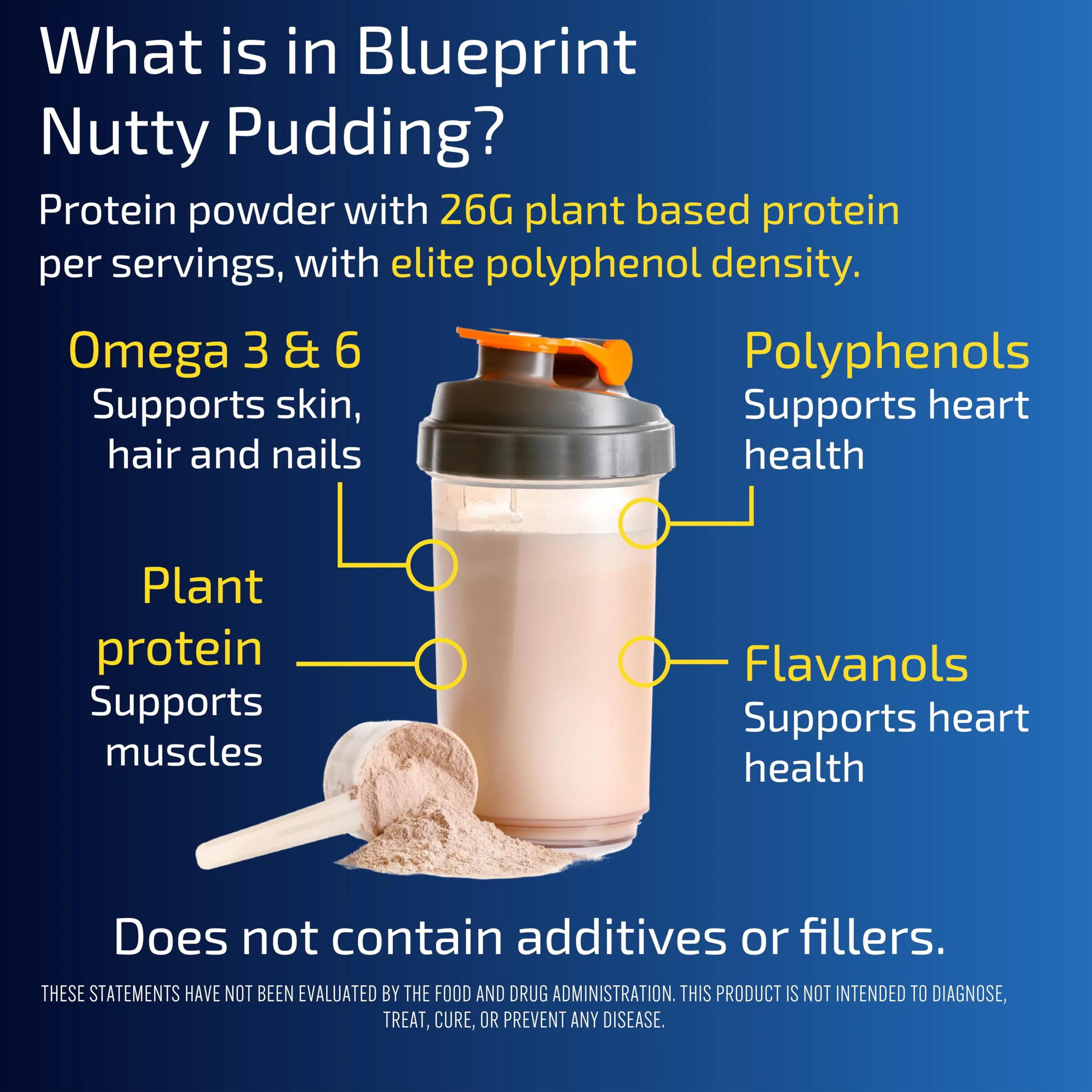 Blueprint Bryan Johnson Longevity Protein Nutty Pudding - 26g Plant Protein, Non Dairy, 100% Pure Cocoa Powder - Grape Seed Extract - 7.5% Flavanols - Heavy Metal Tested - Vegan, Keto (30 Servings) - Image 8