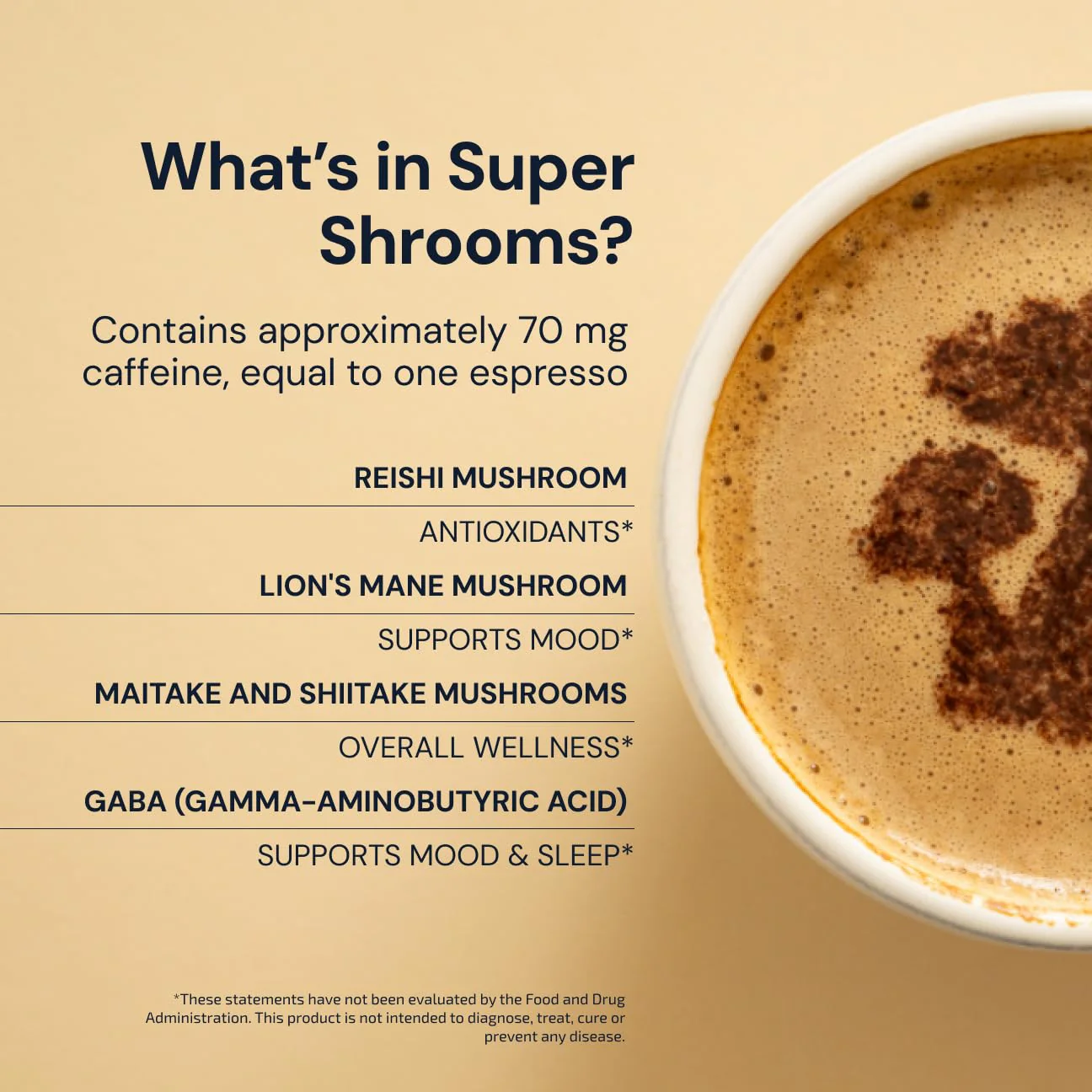 Blueprint Bryan Johnson Super Shroom Coffee – Mushroom Coffee with Lion’s Mane, Reishi & GABA – 70mg Caffeine – Focus & Energy Coffee – Adaptogenic Coffee Alternative – 30 Servings - Image 5