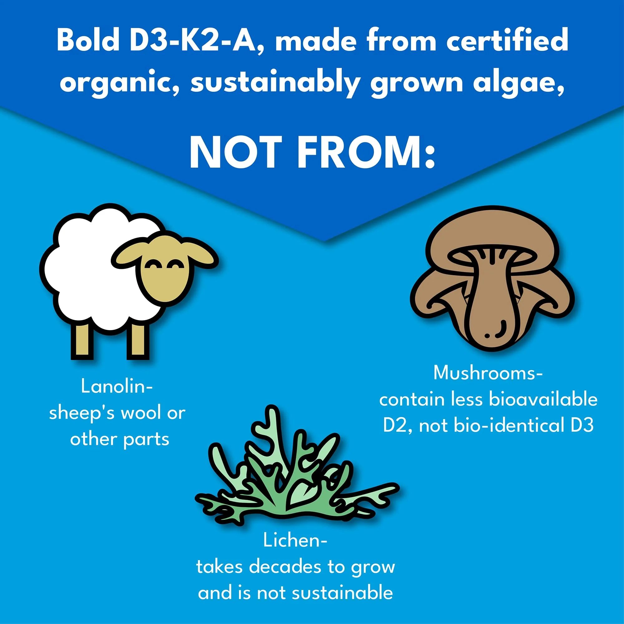 Bold Botanica Vitamin D3-K2-A Liquid Drops for Adults and Kids – 2500 IU Vegan D3 from Algae with K2 (MK7) & A, 3-in-1 Complex for Immune, Bone & Heart Support, Orange Flavor – 1 FL OZ, 60 Servings - Image 5