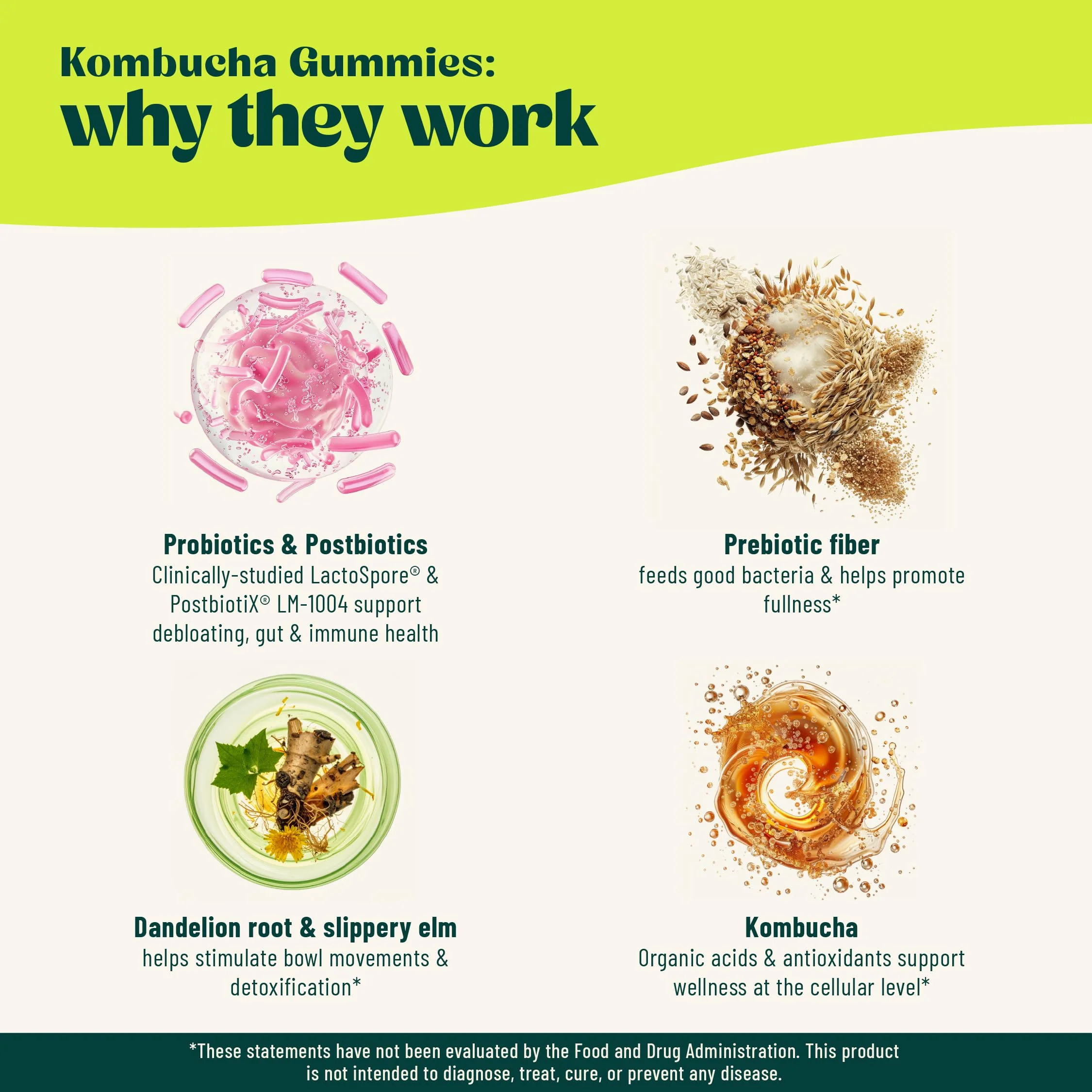BoochBod - Probiotic Kombucha Gummy - Prebiotics, Probiotics, Postbiotics, Fiber Supplement, Slippery Elm, Dandelion Root, MCT Oil, for Bloating, Gut Health - Probiotics for Women and Men - Image 8