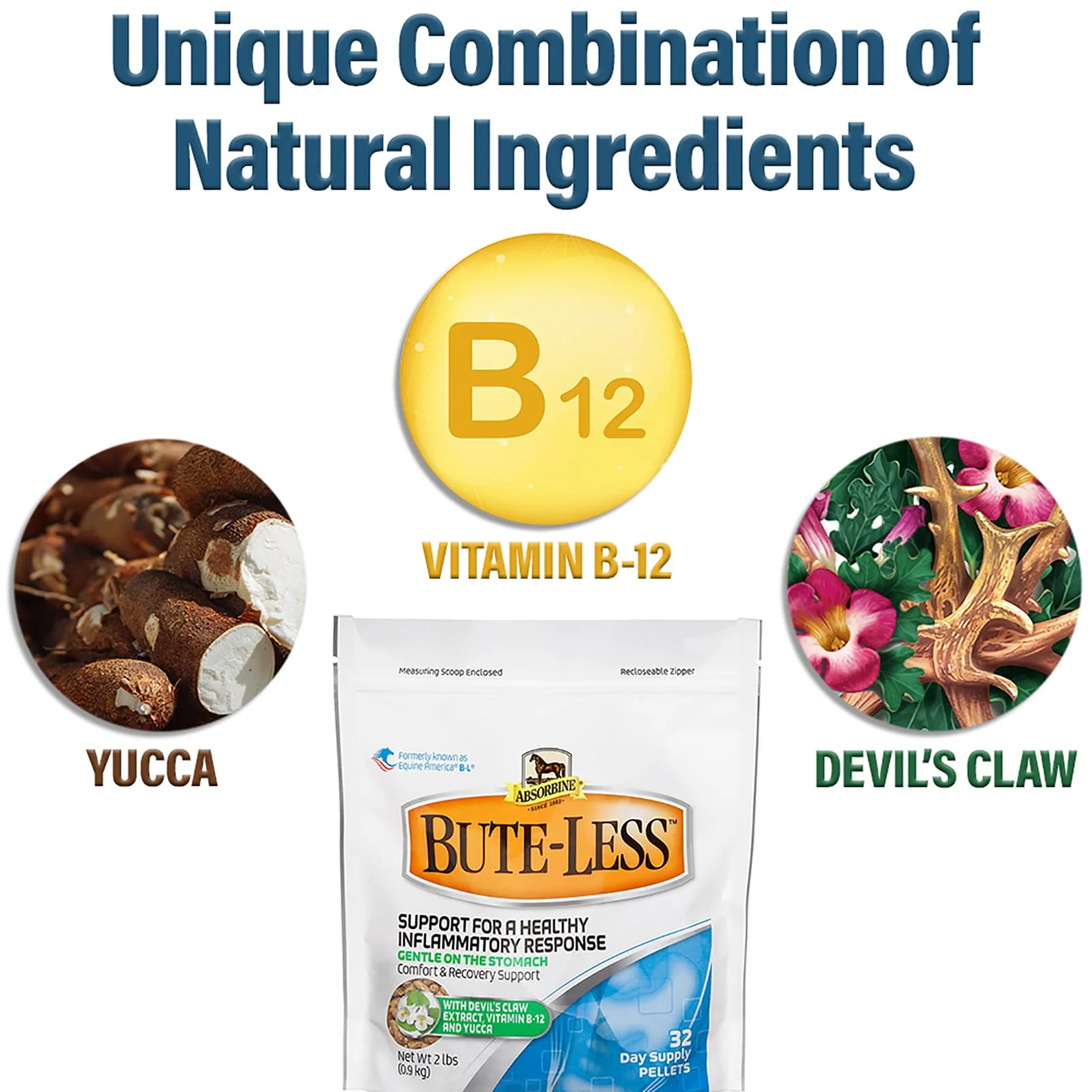 Bute-Less Comfort & Recovery Supplement Pellets, Healthy Inflammatory Response, 2 lb / 32 Day Supply - Image 5