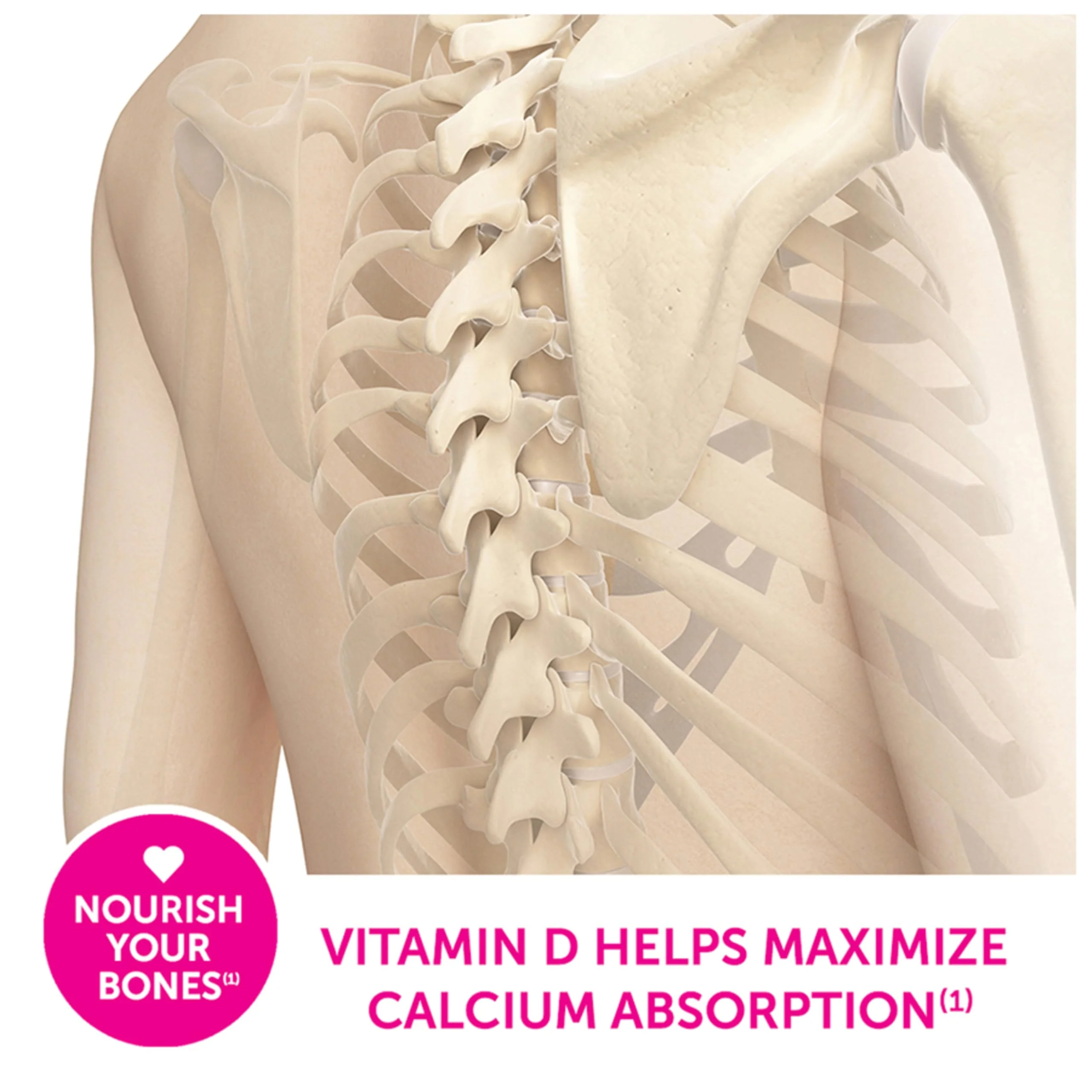 Caltrate Soft Chews 600 Plus D3 Calcium Vitamin D Supplement, Chocolate Truffle - 60 Count(Packaging May Vary) - Image 6