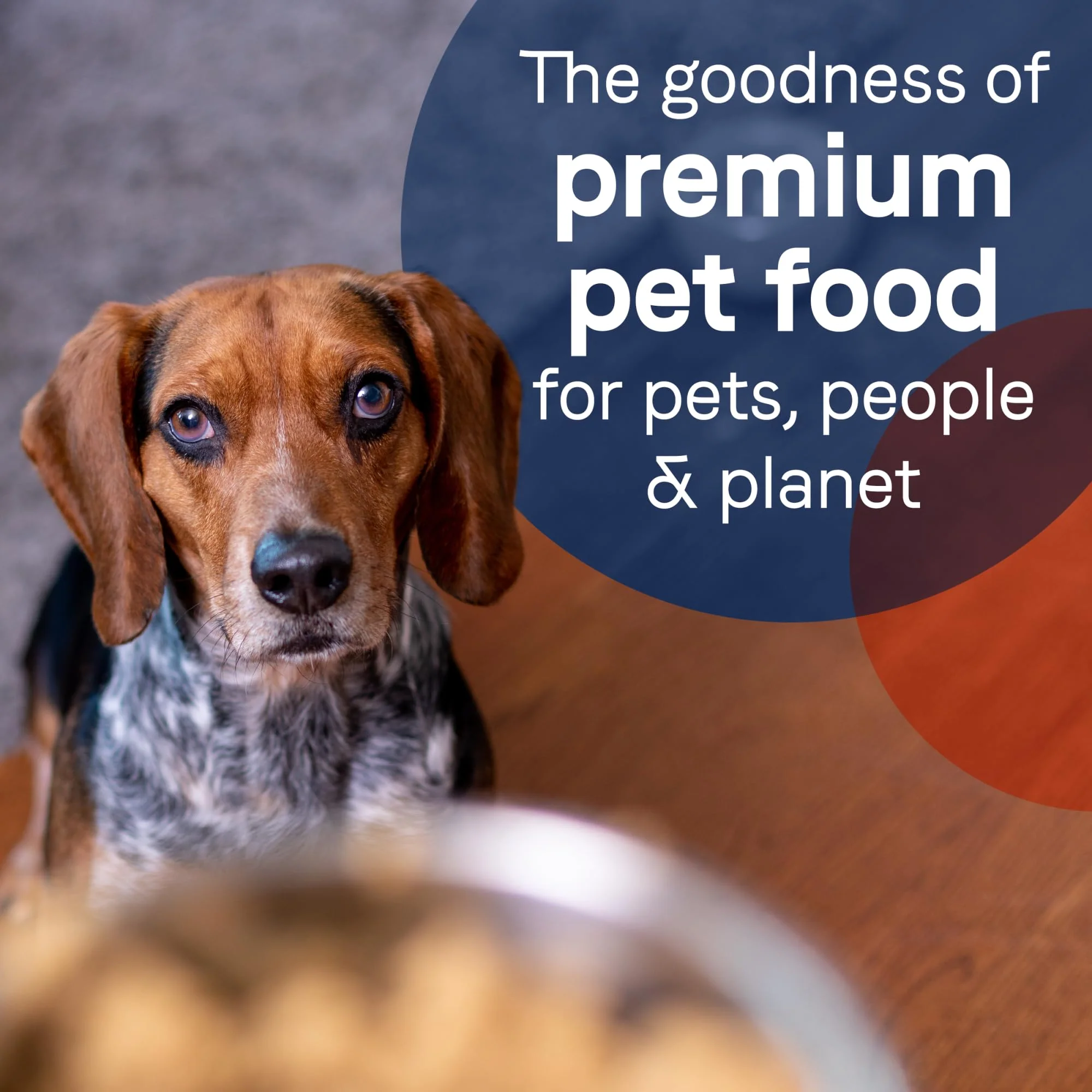Canidae Pure Limited Ingredient Premium Adult Wet Dog Food, Duck & Turkey Recipe, 13 oz. (Case of 12), Grain Free - Image 4