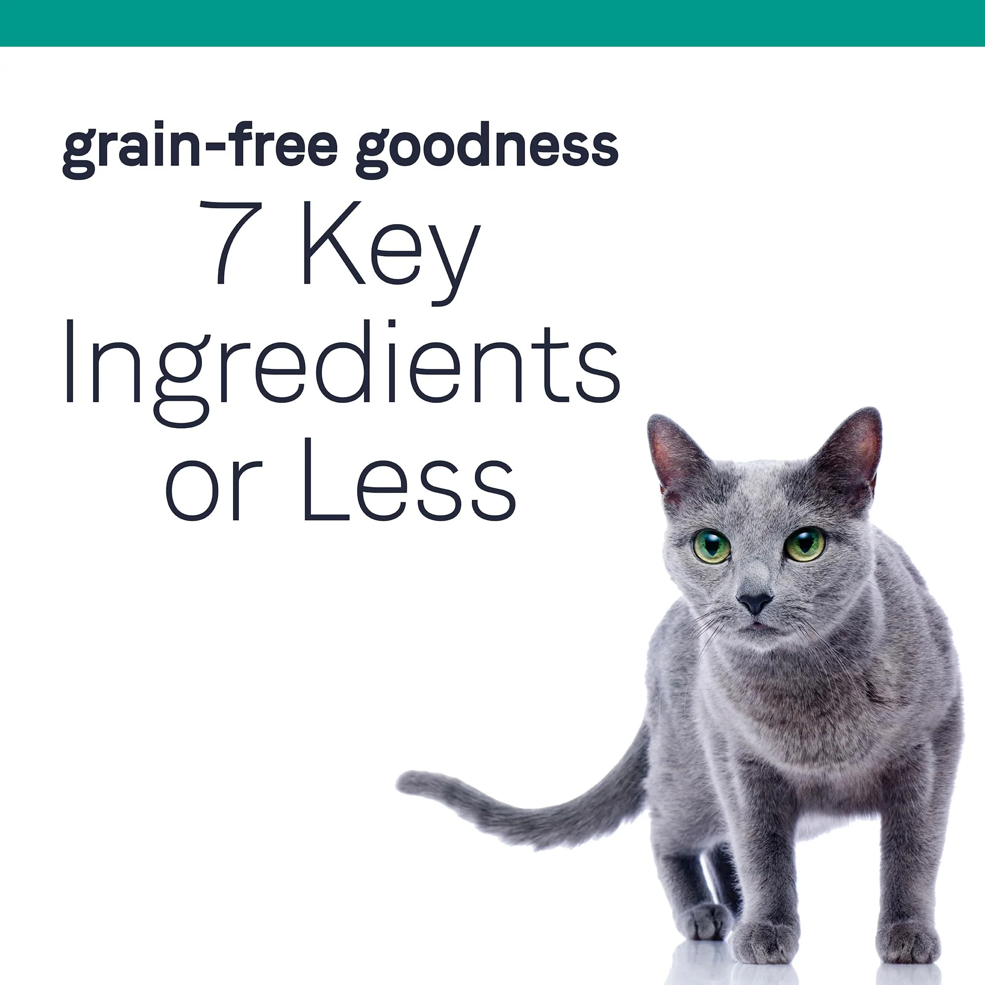 Canidae Pure Limited Ingredient Premium Dry Cat Food, Real Salmon Recipe, 5 lbs, Grain Free - Image 4