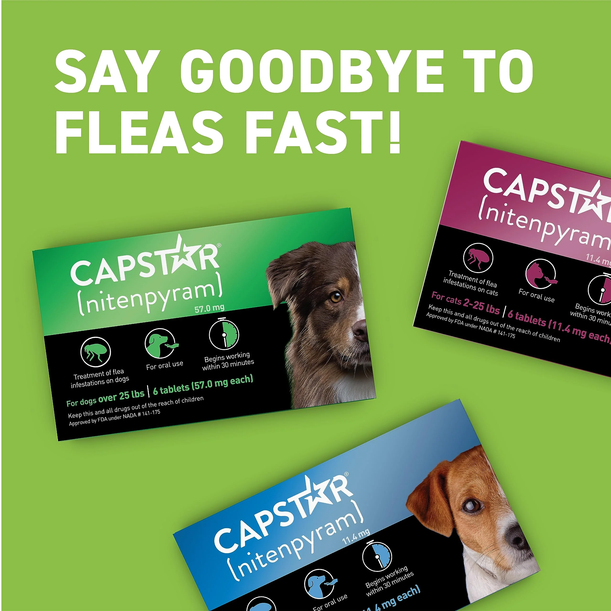 Capstar for Dogs (nitenpyram), Fast-Acting Oral Flea Treatment for Dogs Over 25+ lbs, Vet-Recommended Flea Medication Tablets Start Killing in 30 Minutes, 6 Doses - Image 3