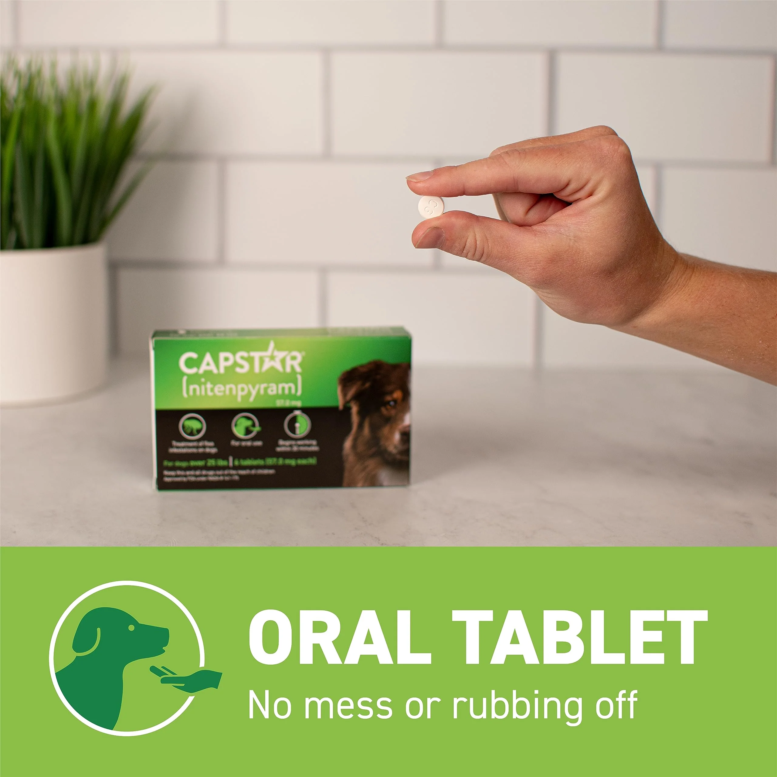 Capstar for Dogs (nitenpyram), Fast-Acting Oral Flea Treatment for Dogs Over 25+ lbs, Vet-Recommended Flea Medication Tablets Start Killing in 30 Minutes, 6 Doses - Image 4