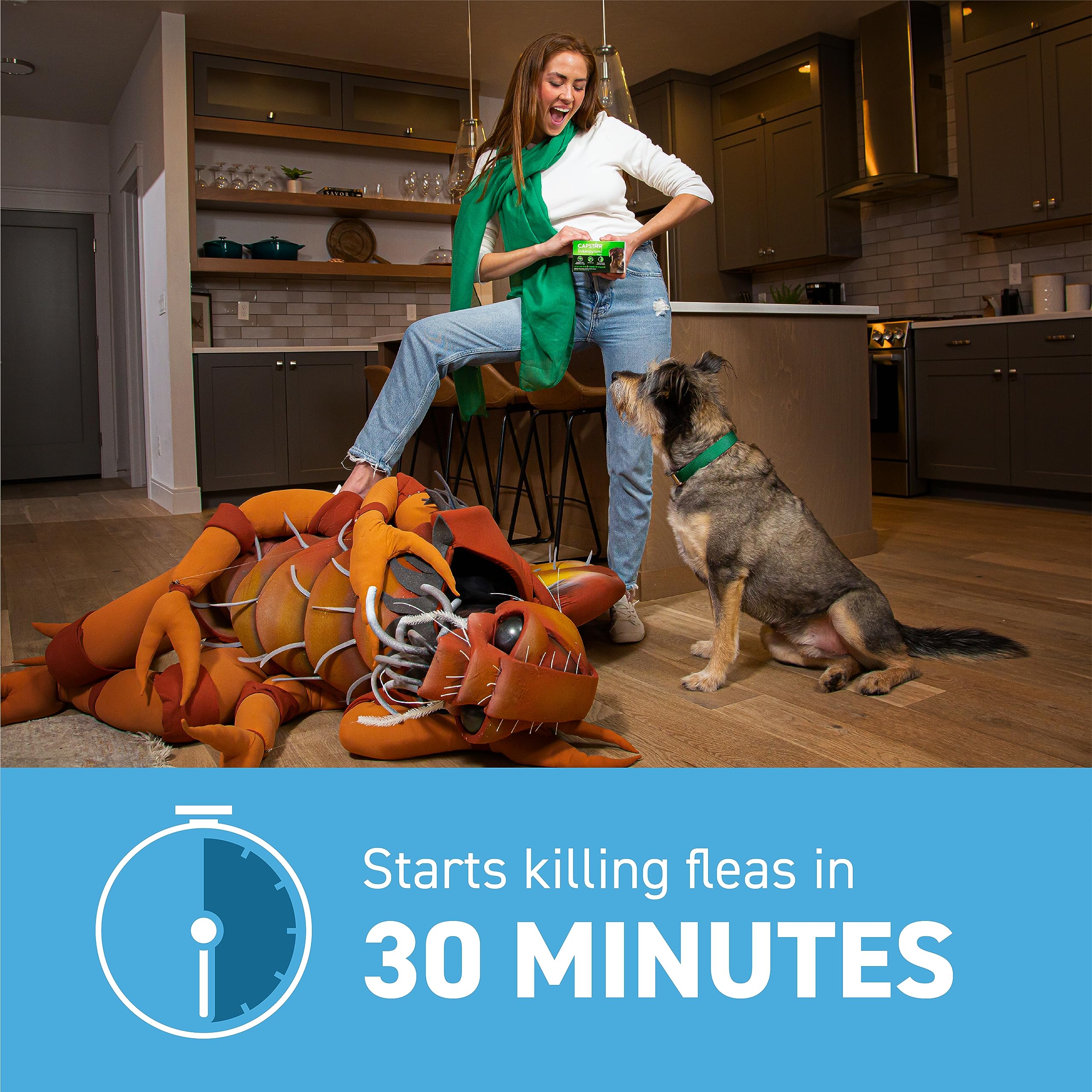 Capstar (Nitenpyram) Fast-Acting Oral Flea Treatment for Dogs 2-25 Lbs, Vet-Recommended Medication Tablets, Flea Tablets for Dogs Start Killing in 30 Minutes, 6 Doses - Image 6