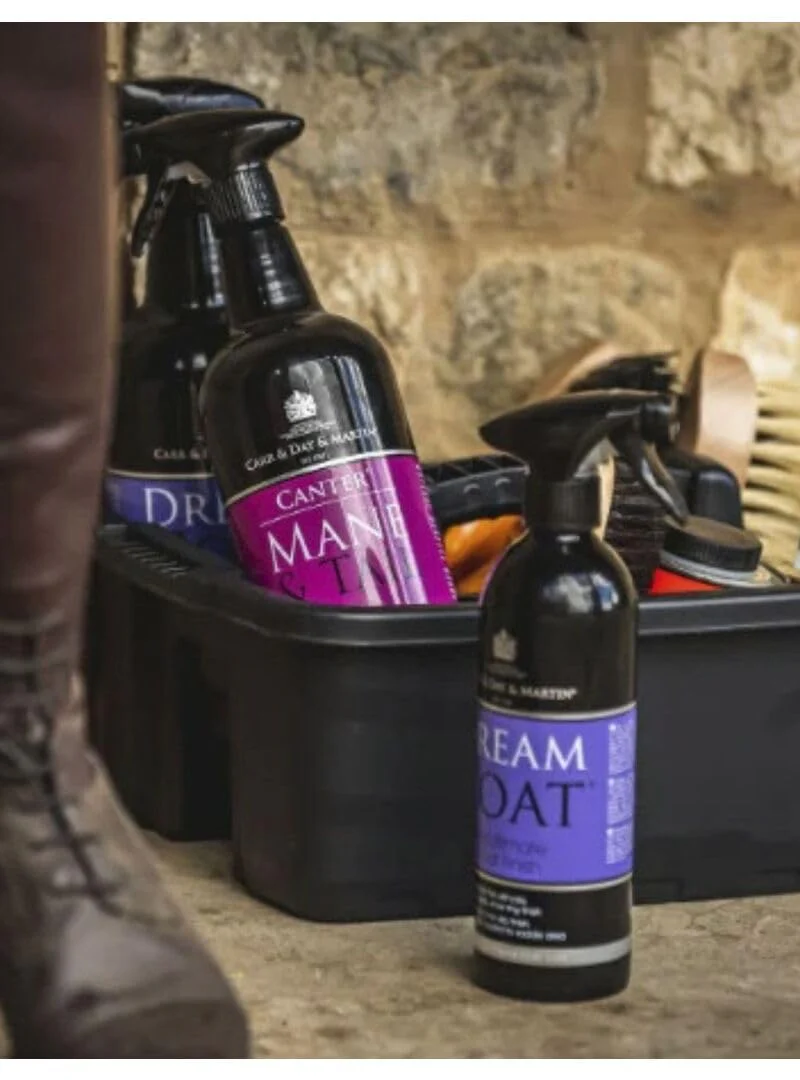 Carr & Day & Martin Dreamcoat Shine, 500ml - Image 2
