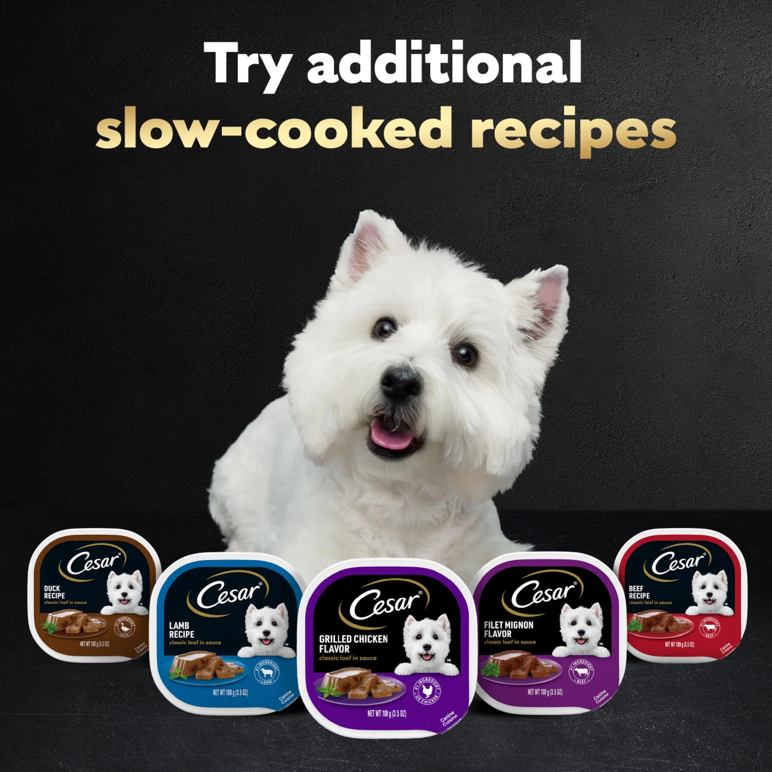Cesar Wet Dog Food Classic Loaf in Sauce, Duck Recipe, Oven Roasted Chicken Flavor, Grilled Chicken Flavor, and Turkey Flavor, 3.5 oz. Easy Peel Trays, Variety Pack, 24 Count - Image 4
