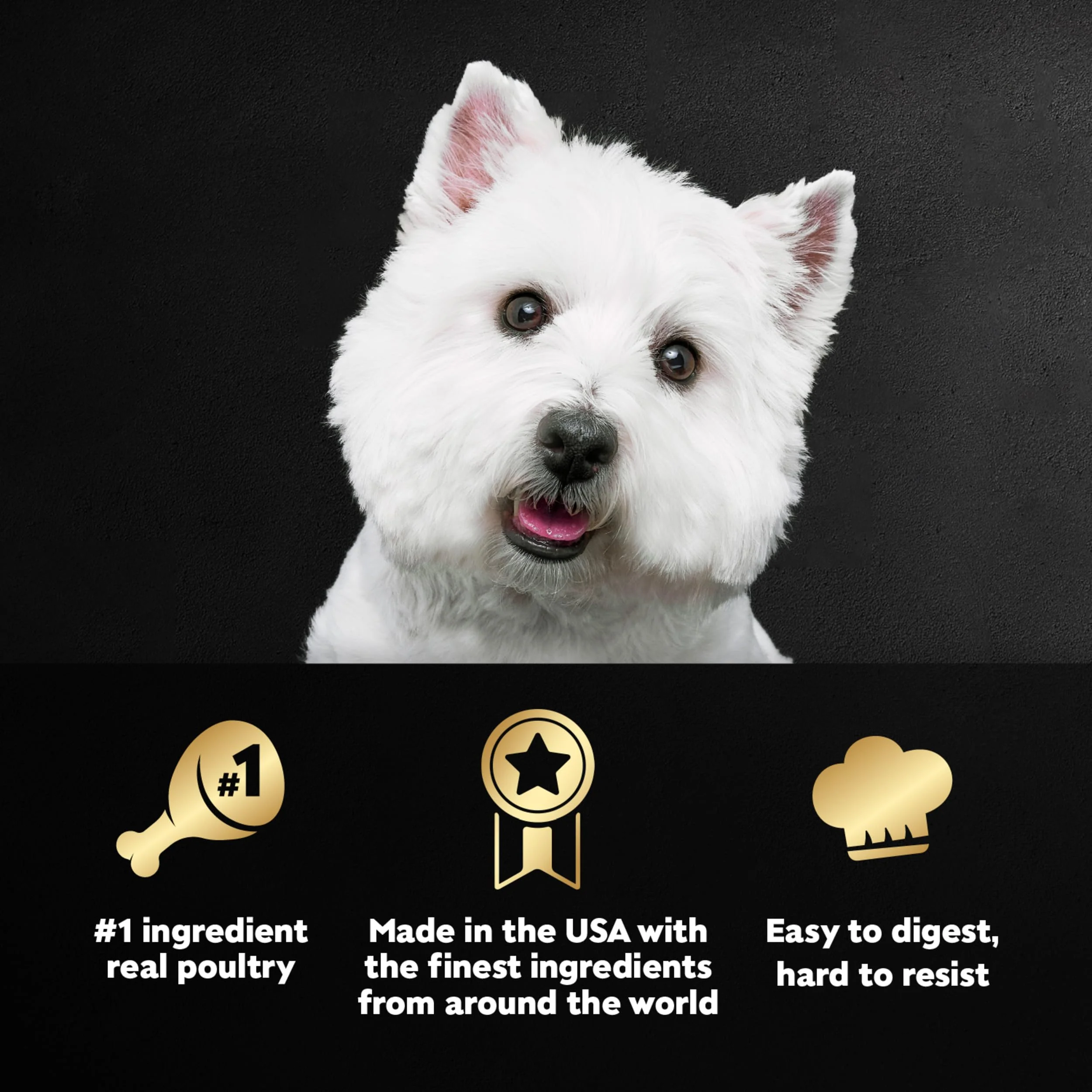 Cesar Wet Dog Food Classic Loaf in Sauce, Duck Recipe, Oven Roasted Chicken Flavor, Grilled Chicken Flavor, and Turkey Flavor, 3.5 oz. Easy Peel Trays, Variety Pack, 24 Count - Image 9