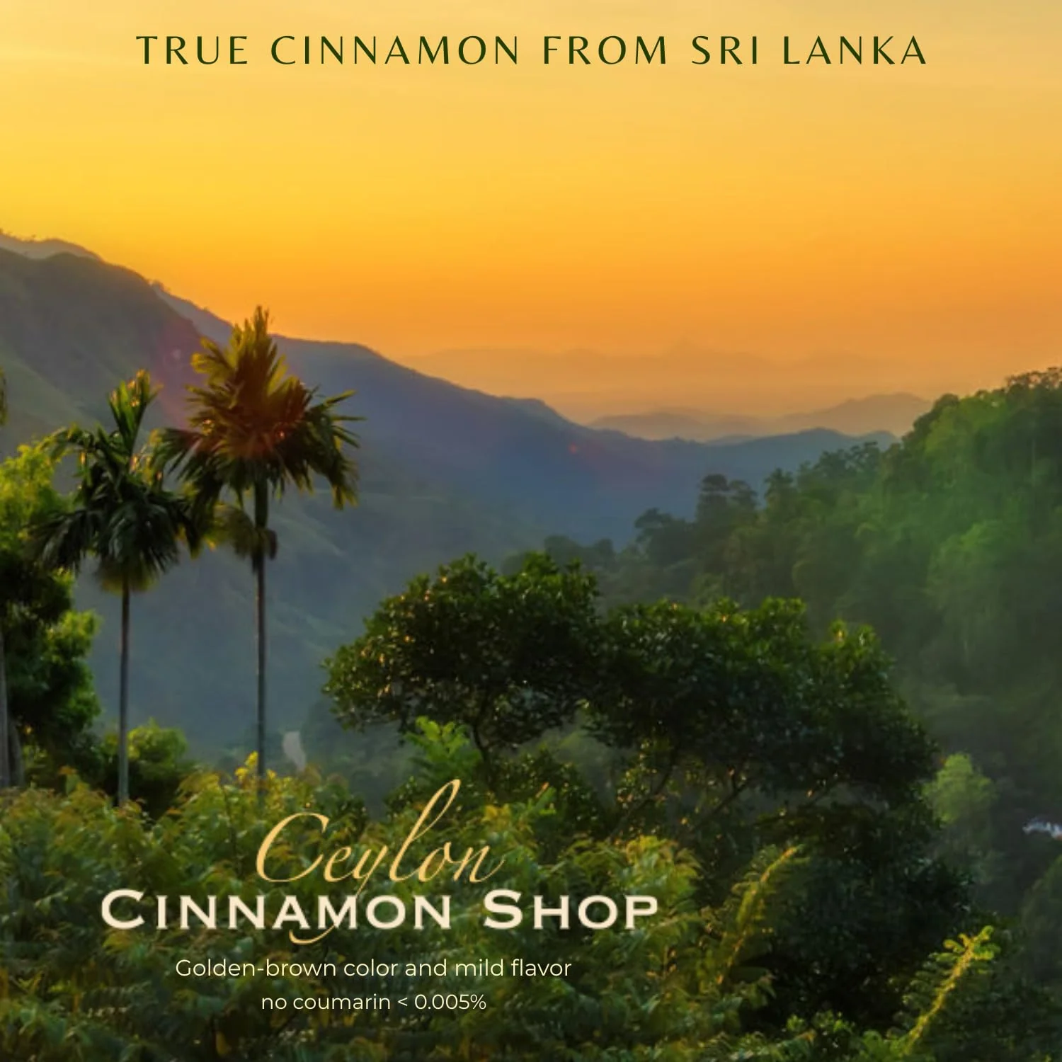 Ceylon Cinnamon Shop CinnaGold™ Organic Ceylon Cinnamon (100% Certified) Supplement, High-Potency Liquid Extract, 4 oz. – Super Antioxidant - Image 3