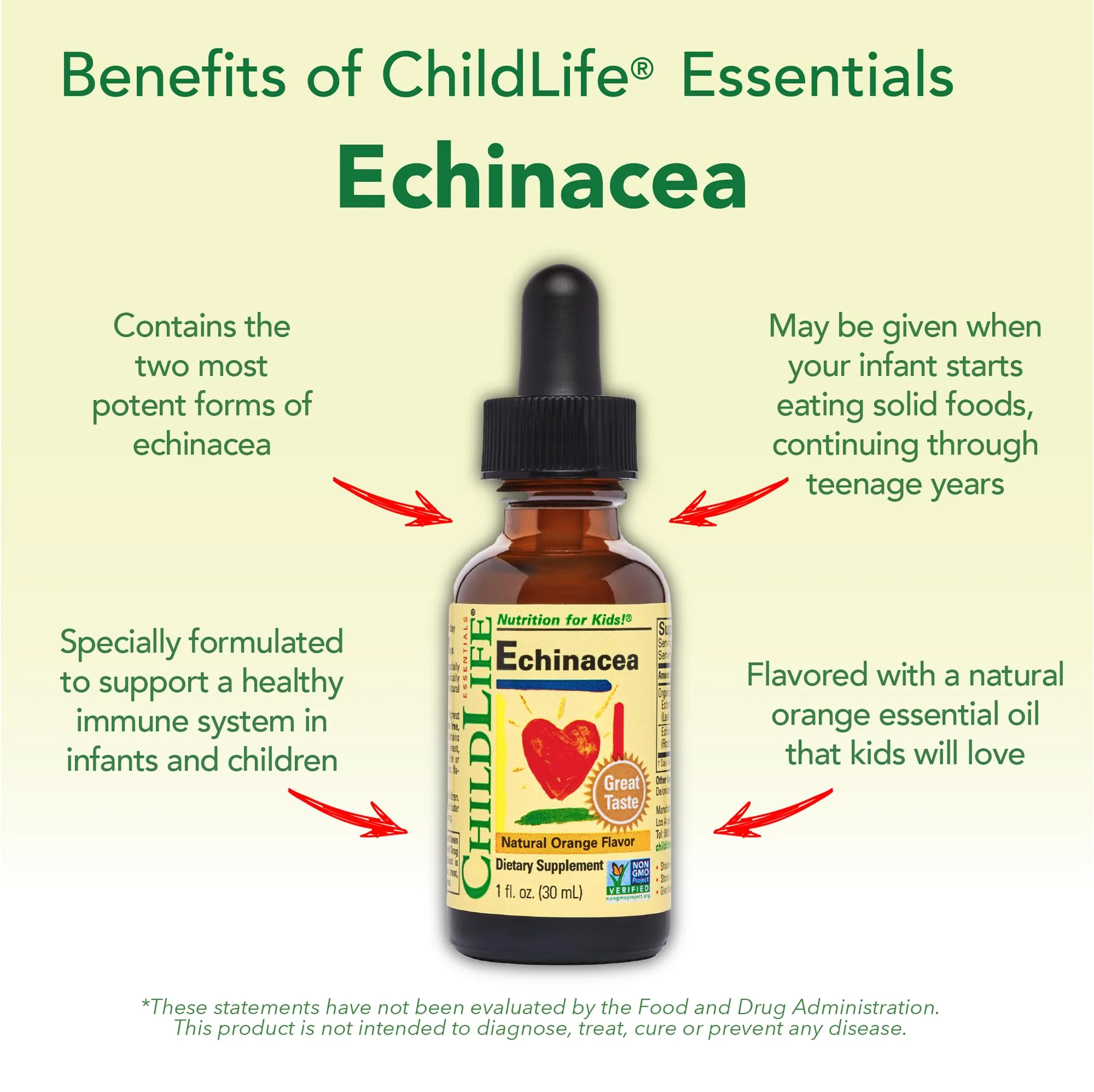 CHILDLIFE ESSENTIALS Echinacea for Kids - Kids Echinacea Drops, Liquid Tincture, Alcohol Free Supplement for Babies, Toddlers, Children - Natural Orange, 1 Fl Oz (Pack of 1) - Image 4