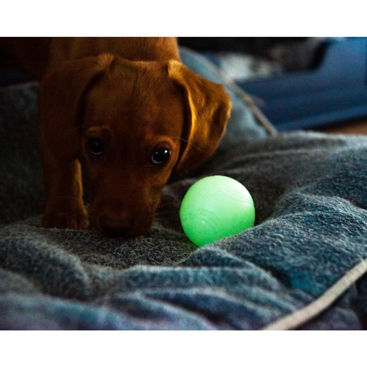 CHUCKIT Max Glow Balls, Small - Image 4