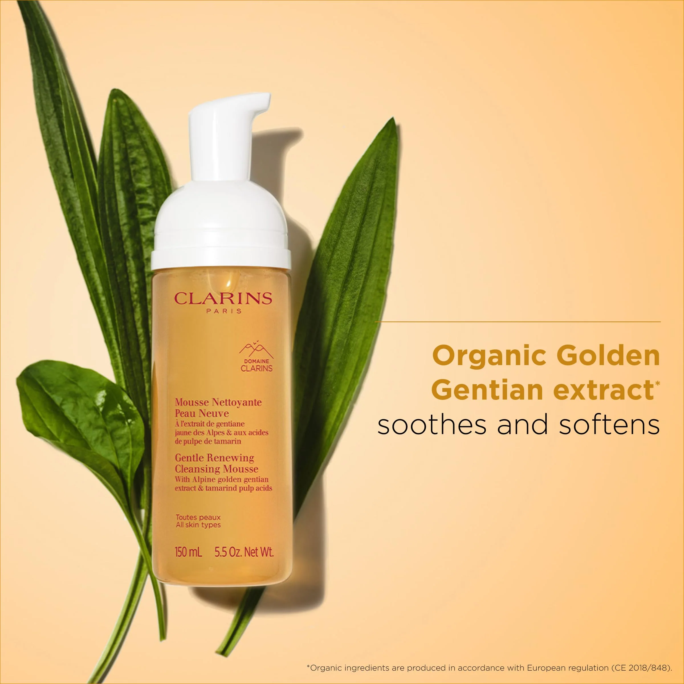 Clarins Gentle Renewing Cleansing Mousse | Cleanses, Gently Exfoliates & Refreshes | Foaming Mousse |Soap-No|SLS-No | Dermatologist Tested | Exfoliating Tamarind Pulp Extract Rich In AHAs | 5.5 Oz - Image 7