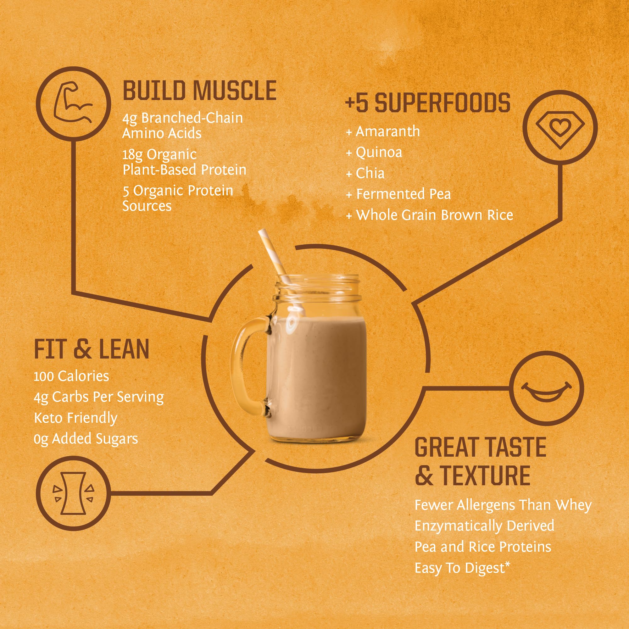 Clean Vegan Protein Powder Vanilla | Organic Protein Powder Plant Based Formula with 5 Superfood Blend Sprouted & Fermented | Non-GMO Low Carb Soy Dairy & Gluten Free (Vanilla, 30 Servings) - Image 5