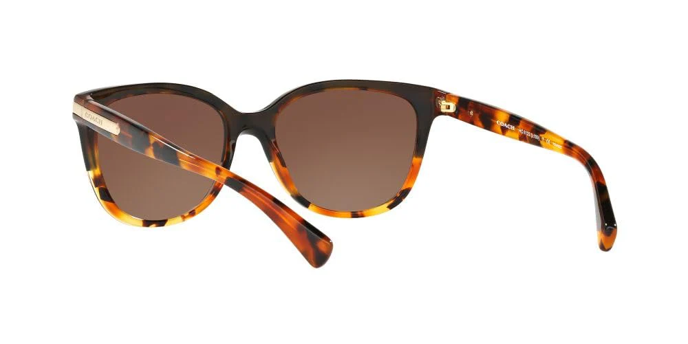 COACH HC8132 Sunglasses, Black Tortoise Gradient/Brown Gradient Polarized, 57 mm - Image 2