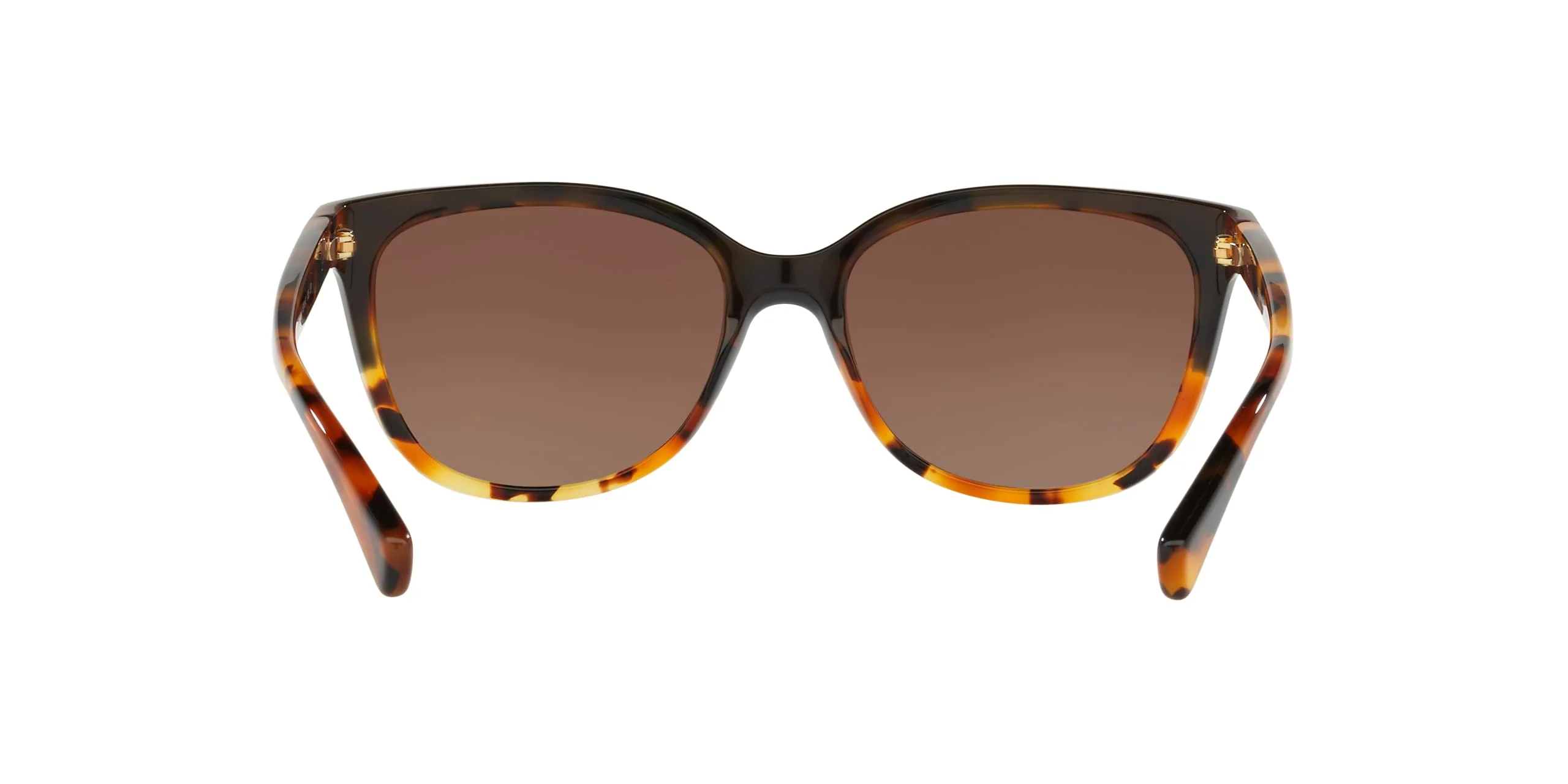 COACH HC8132 Sunglasses, Black Tortoise Gradient/Brown Gradient Polarized, 57 mm - Image 3