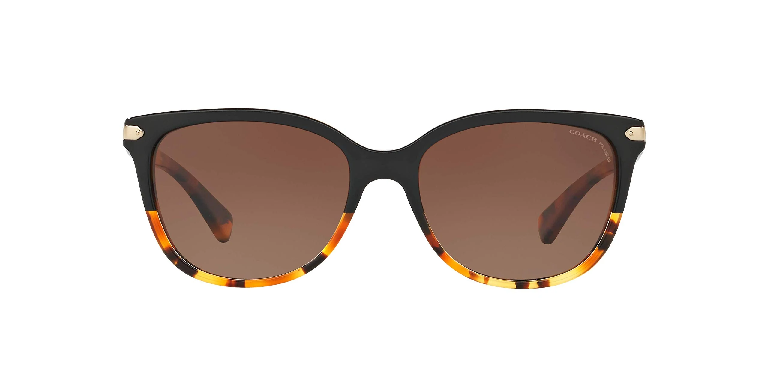 COACH HC8132 Sunglasses, Black Tortoise Gradient/Brown Gradient Polarized, 57 mm - Image 4