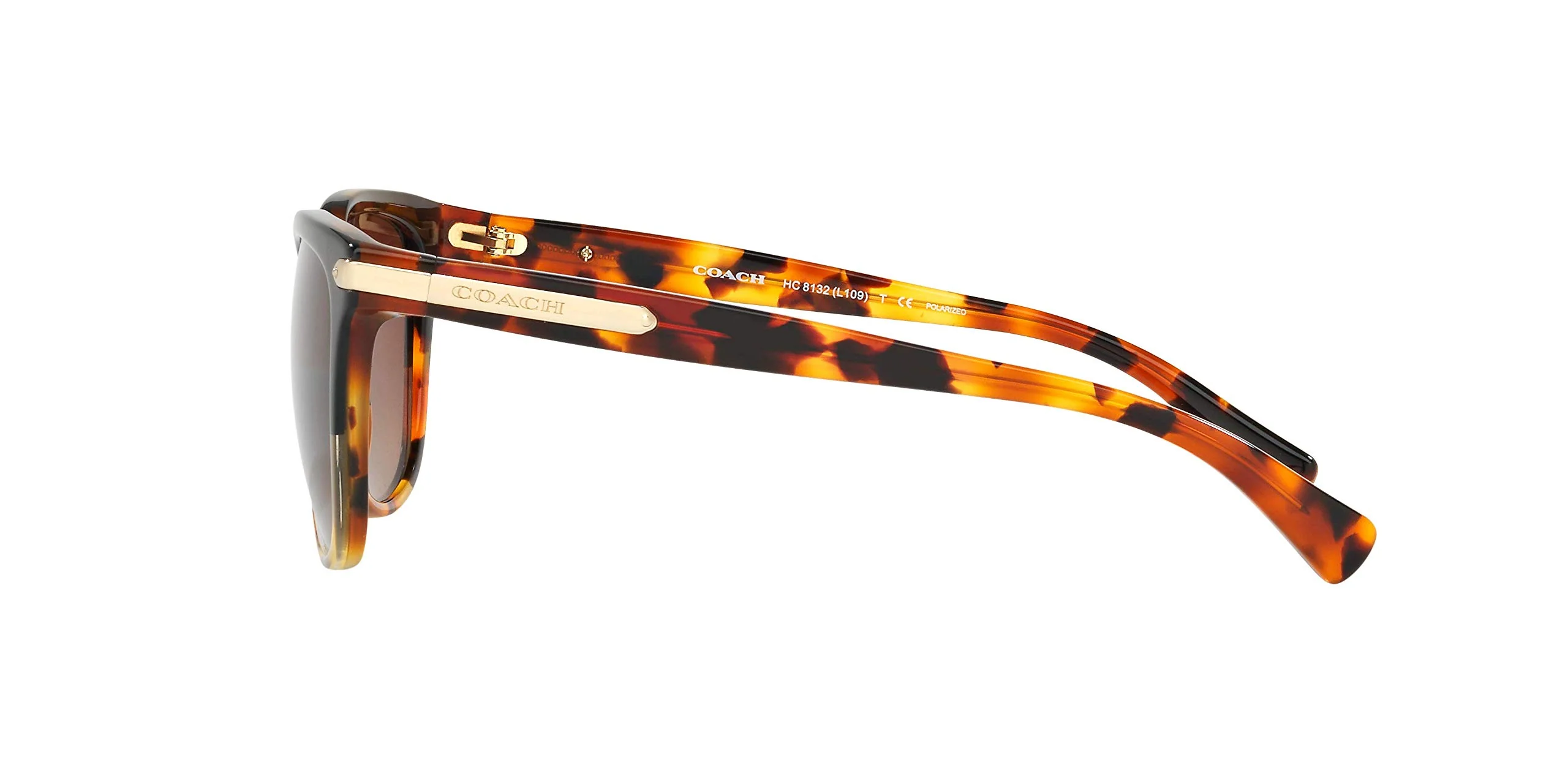 COACH HC8132 Sunglasses, Black Tortoise Gradient/Brown Gradient Polarized, 57 mm - Image 5