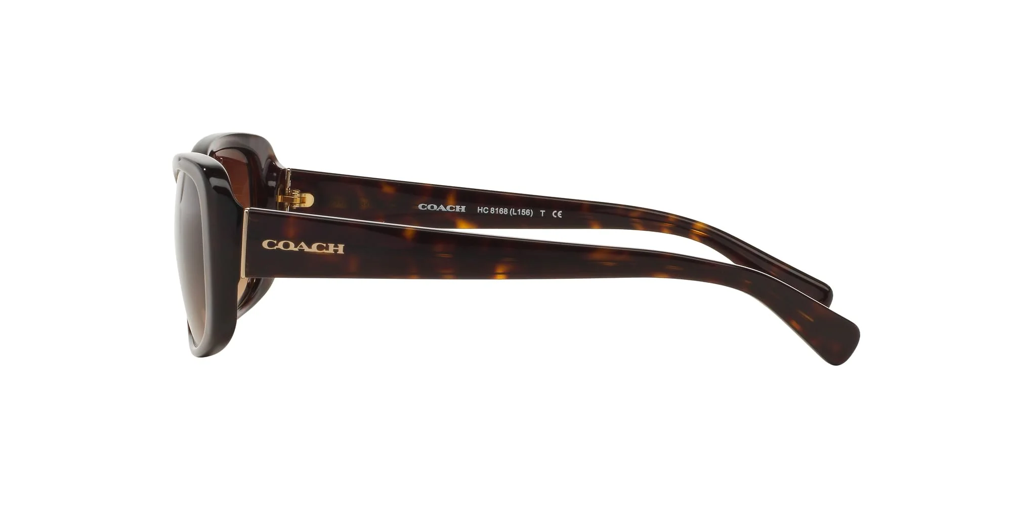 Coach HC8168 Sunglasses, Dark Tortoise/Brown Gradient, 56 mm - Image 6