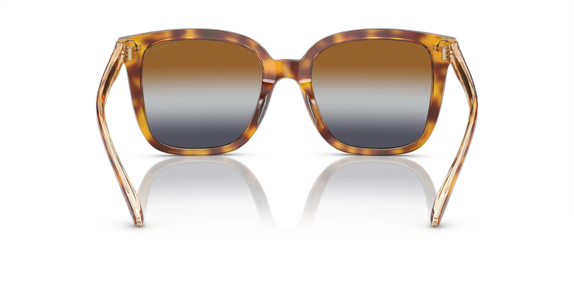 Coach HC8381F Low Bridge Fit Sunglasses, Dark Tortoise/Canary/Brown Teal Grey Gradient, 56 mm - Image 3