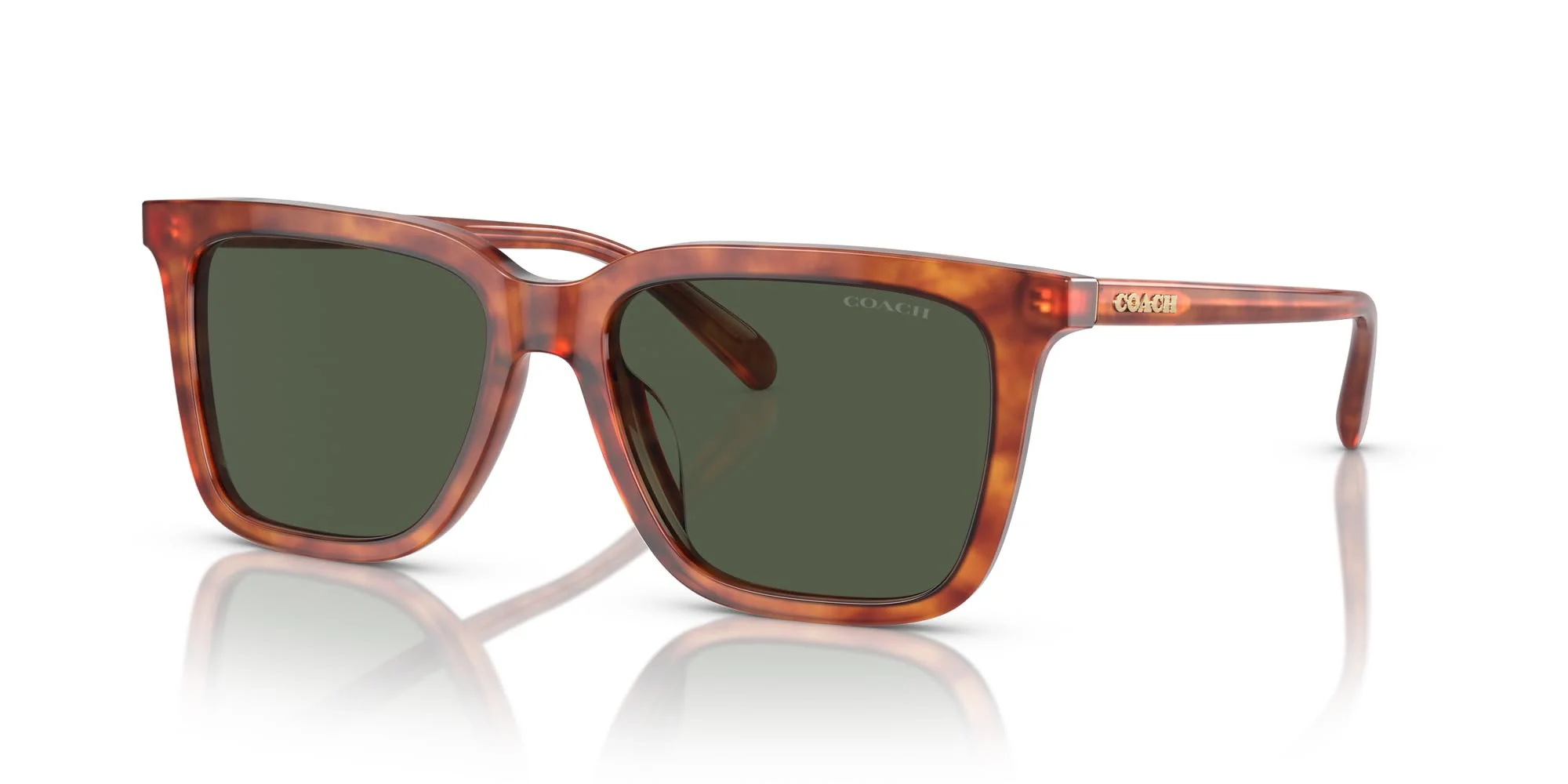 COACH HC8385U Universal Fit Sunglasses, Caramel Tortoise/Army Green Solid, 54 mm - Image 5