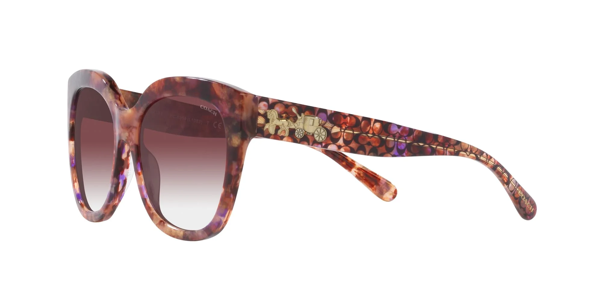 COACH Sunglasses HC 8264 57398H L1083 Petal Tortoise Purple Cl - Image 5