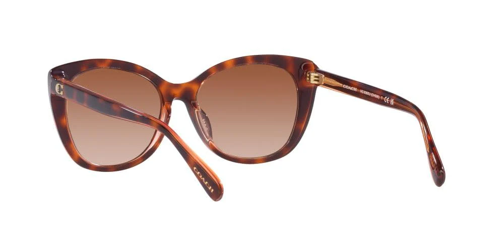 COACH Sunglasses HC 8365 U 574413 Ch566 Tortoise/Transparent P - Image 3