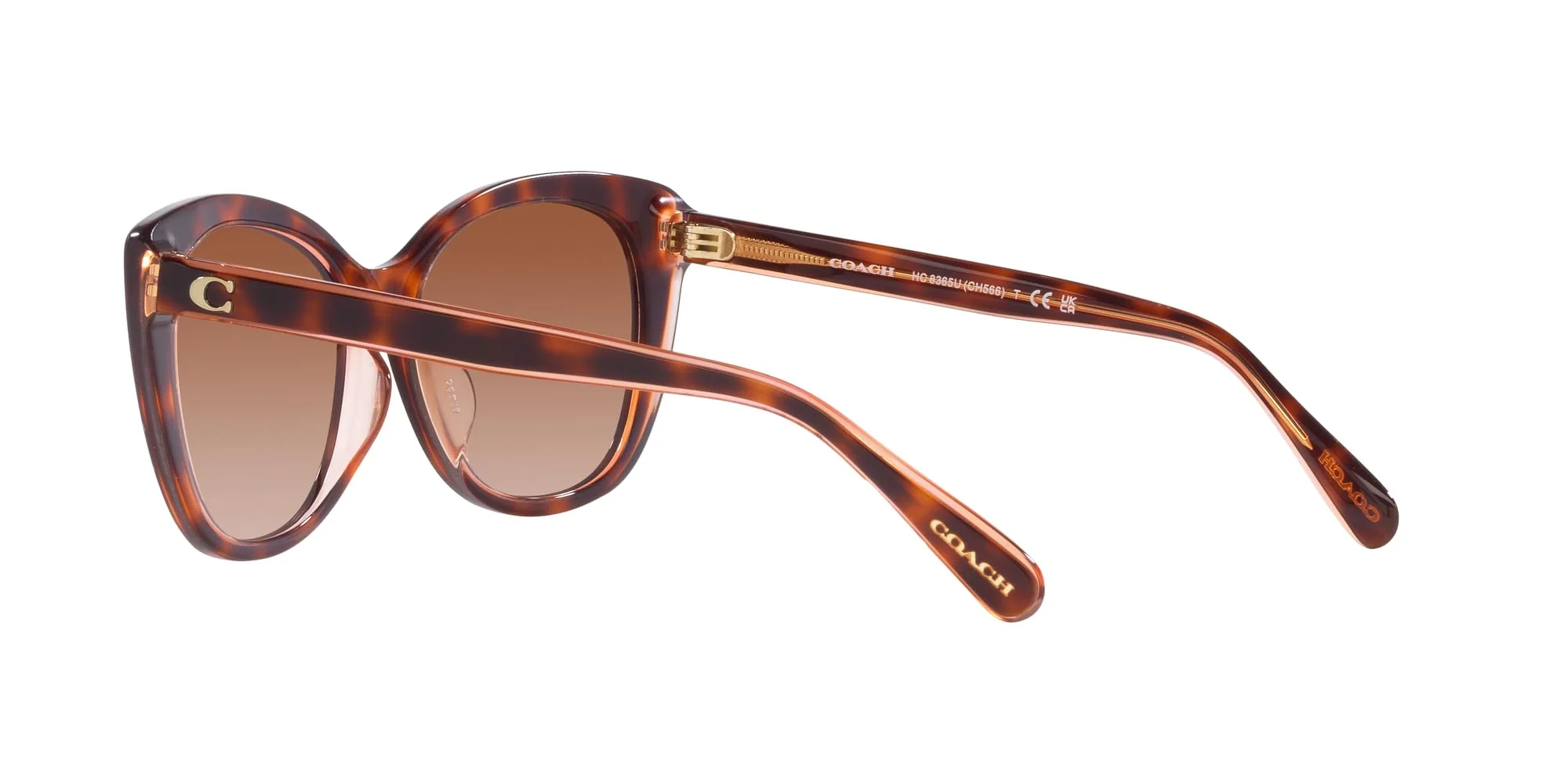 COACH Sunglasses HC 8365 U 574413 Ch566 Tortoise/Transparent P - Image 4
