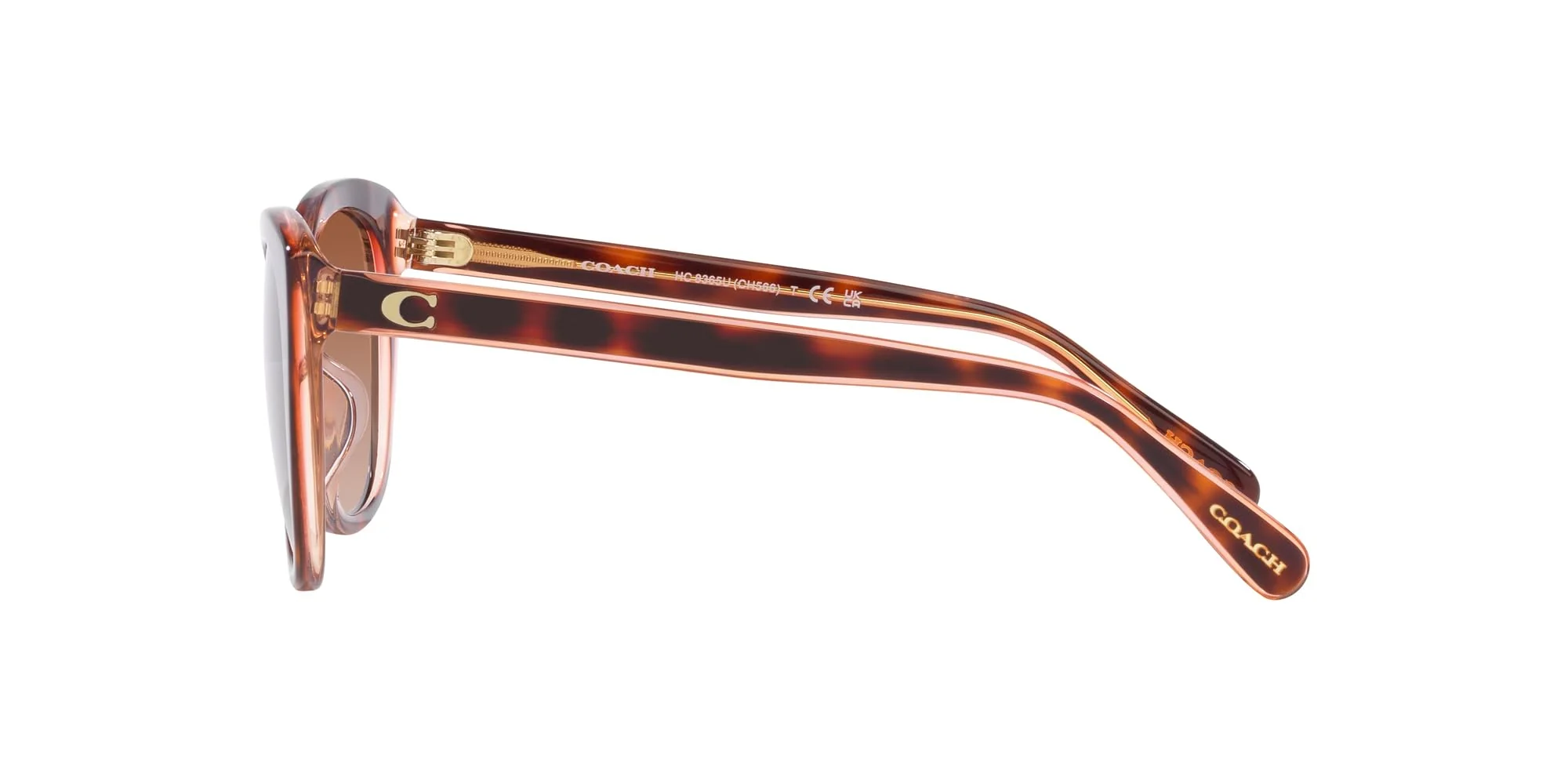 COACH Sunglasses HC 8365 U 574413 Ch566 Tortoise/Transparent P - Image 5