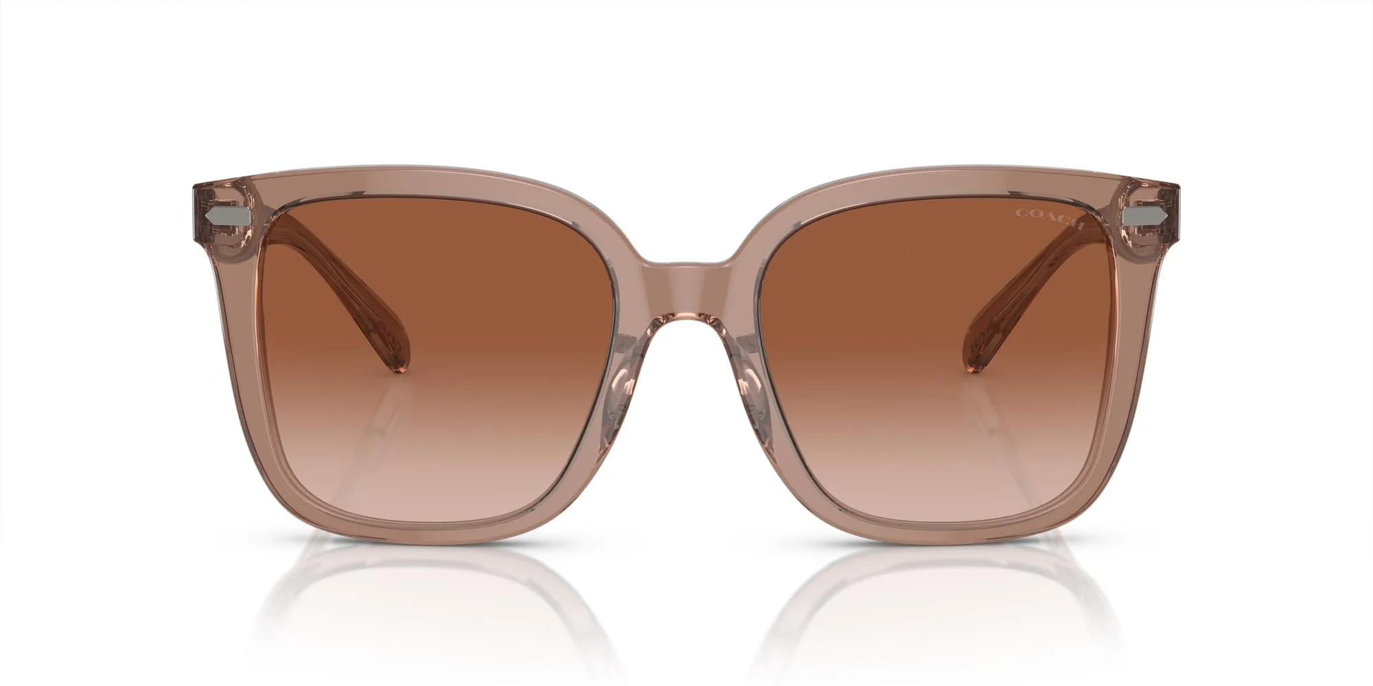 COACH Sunglasses HC 8381 F 577913 Cl919 Transparent Brown/Grey
