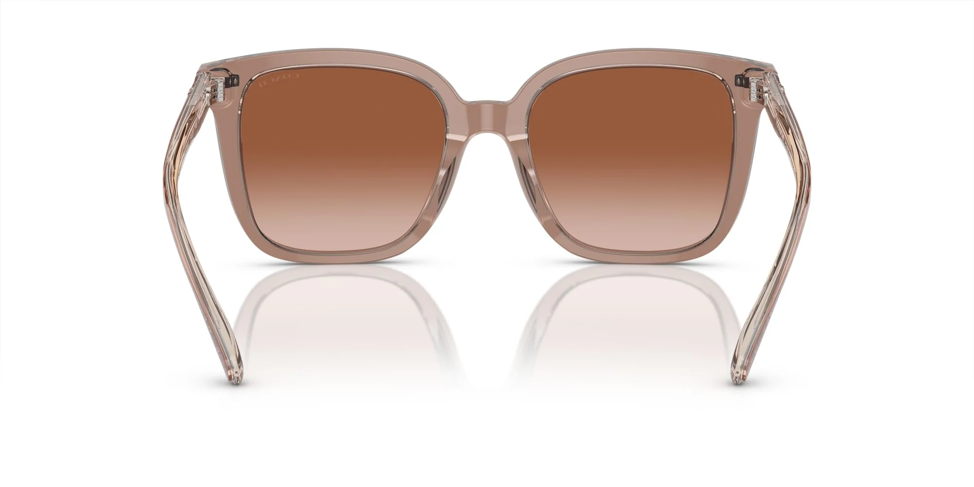 COACH Sunglasses HC 8381 F 577913 Cl919 Transparent Brown/Grey - Image 3