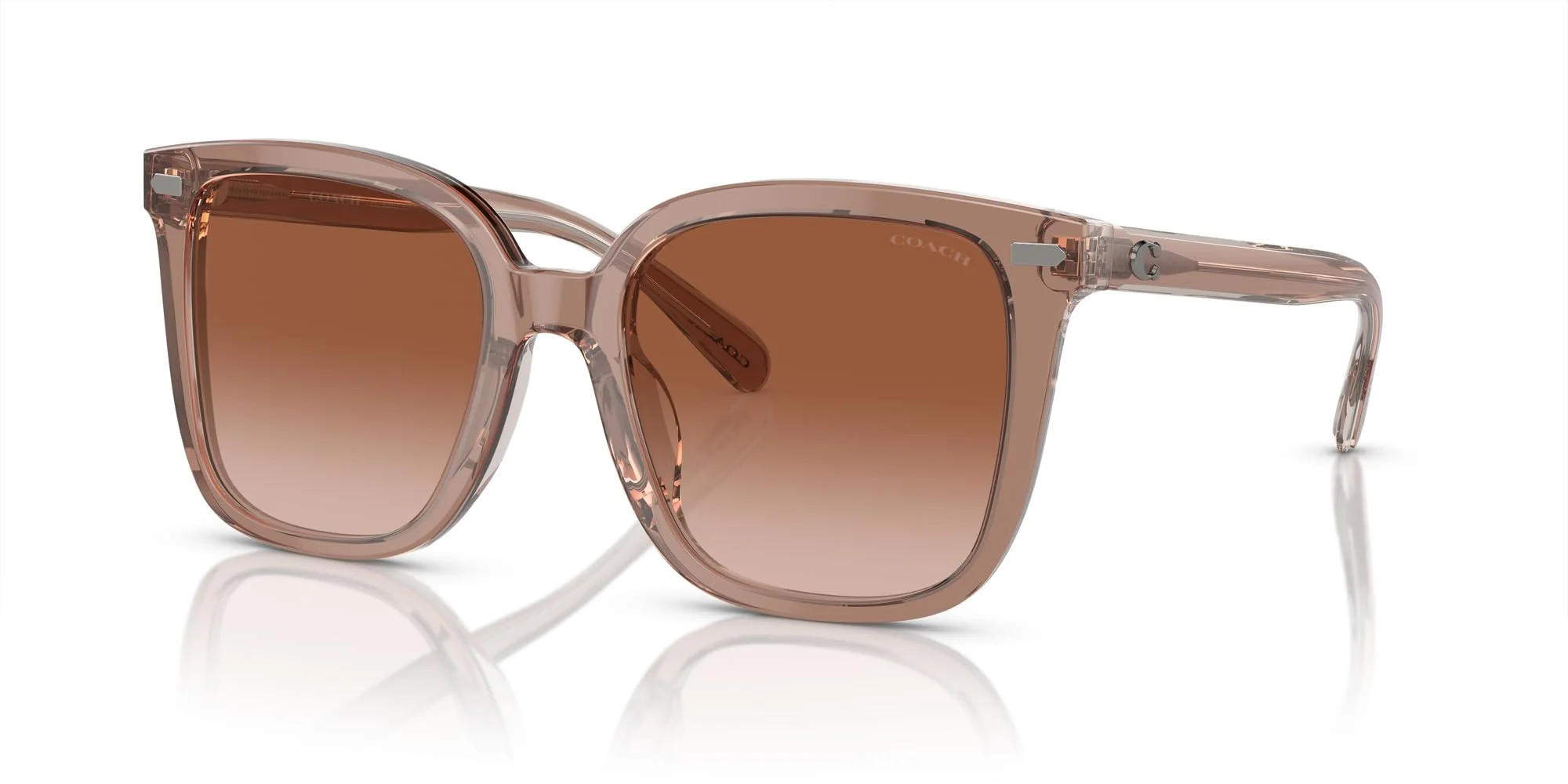COACH Sunglasses HC 8381 F 577913 Cl919 Transparent Brown/Grey - Image 5