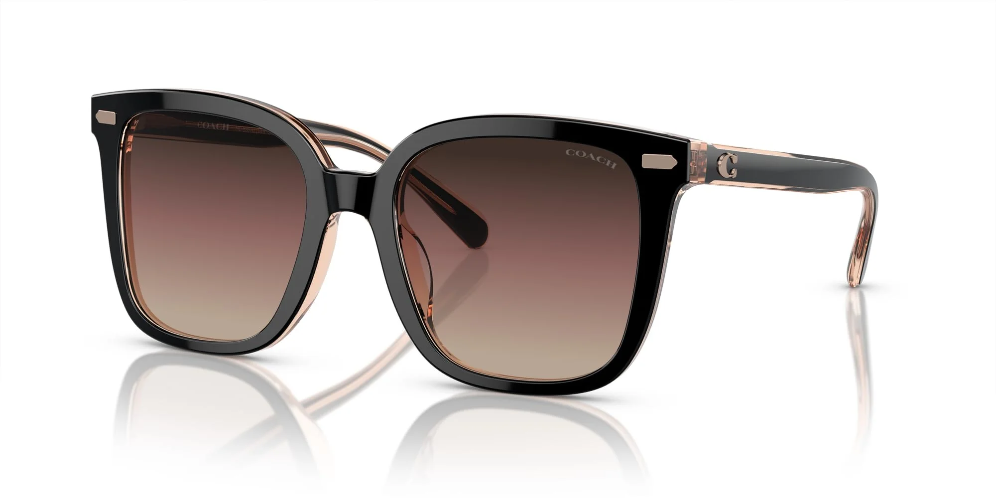 COACH Sunglasses HC 8381 U 5781E2 Cl918 Black/Transparent Blus - Image 6