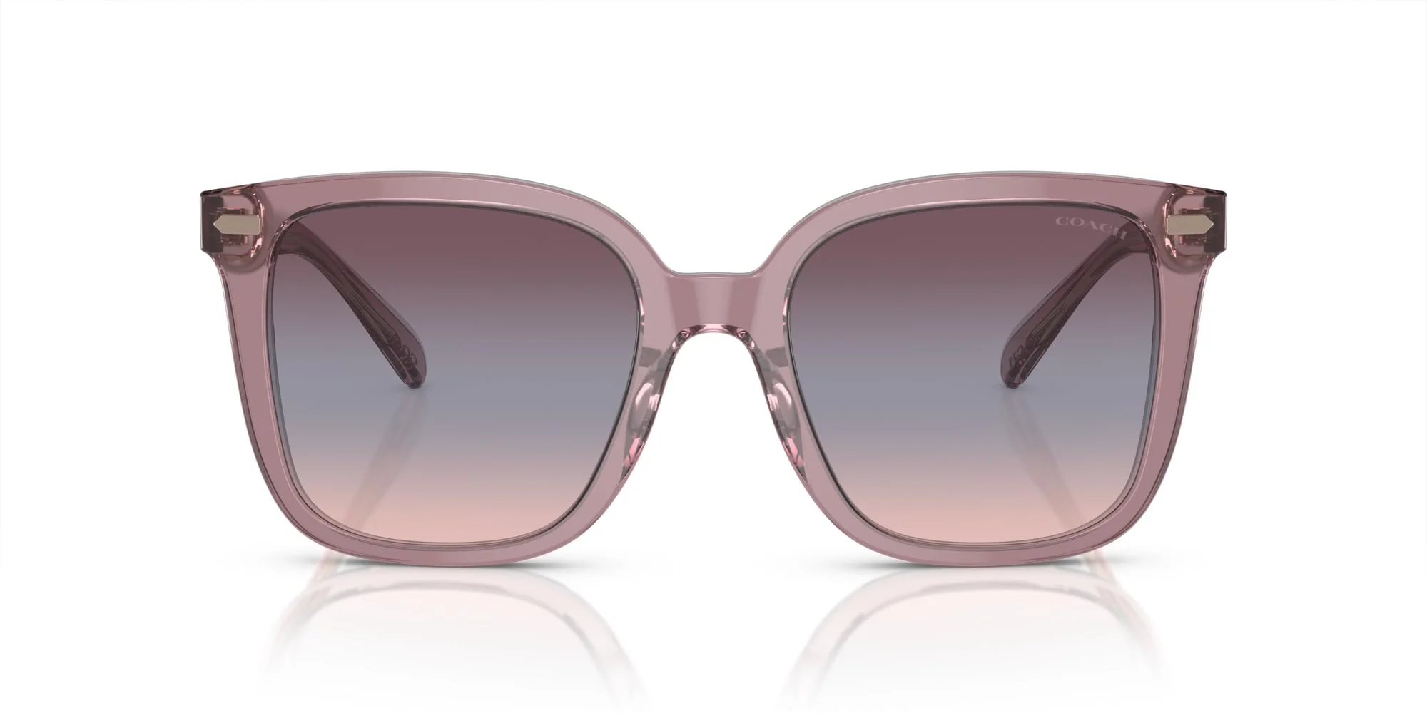 COACH Sunglasses HC 8381 U 57820J Cl918 Transparent Rose/Blush