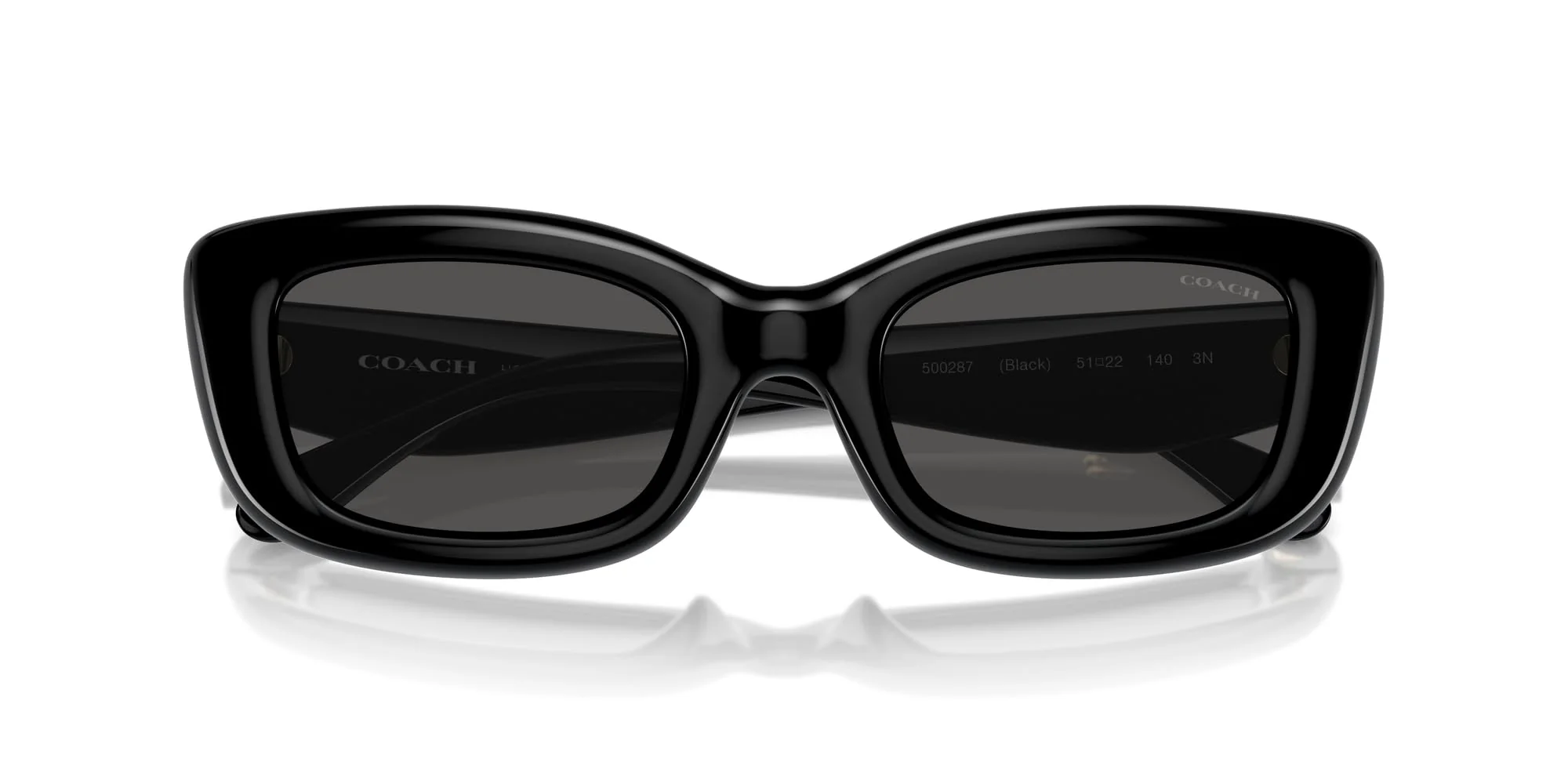 COACH Sunglasses HC 8390 U 500287 Cr610 Black Grey Solid - Image 3