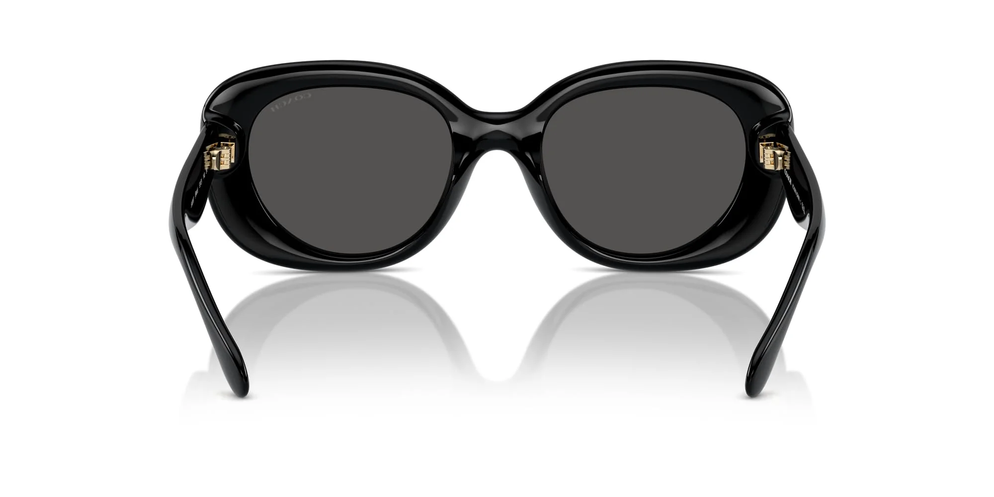 COACH Sunglasses HC 8391 U 500287 Cr609 Black Grey Solid - Image 4