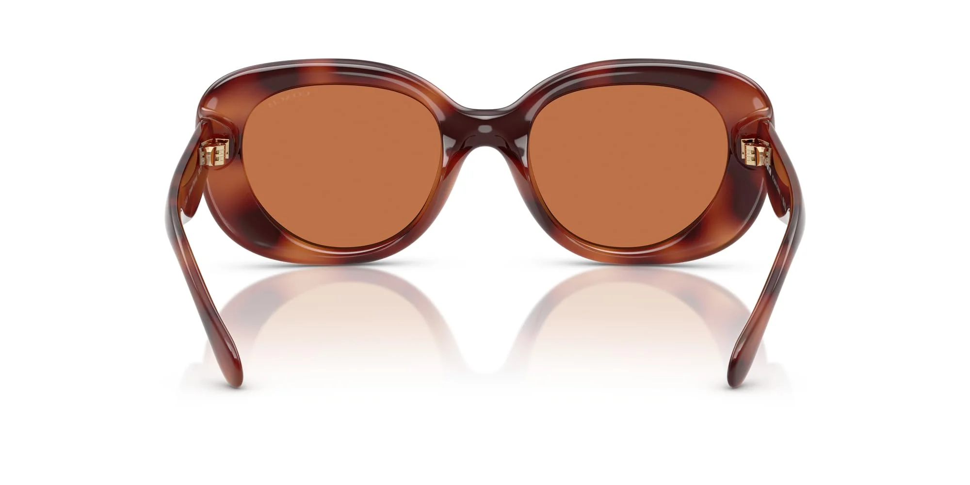 COACH Sunglasses HC 8391 U 577473 Caramel Tortoise/Brown Solid Polyamide Stand - Image 4
