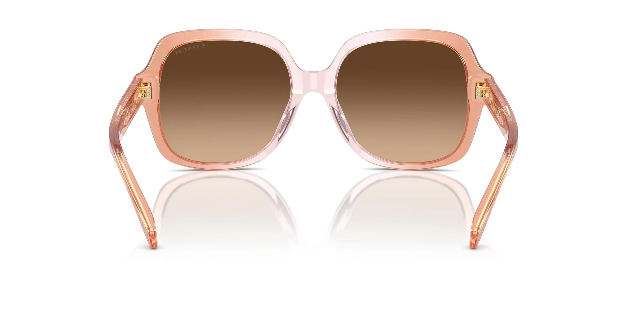 COACH Sunglasses HC 8395 F 581274 Cr962 Saddle/Dusty Rose Grad - Image 3