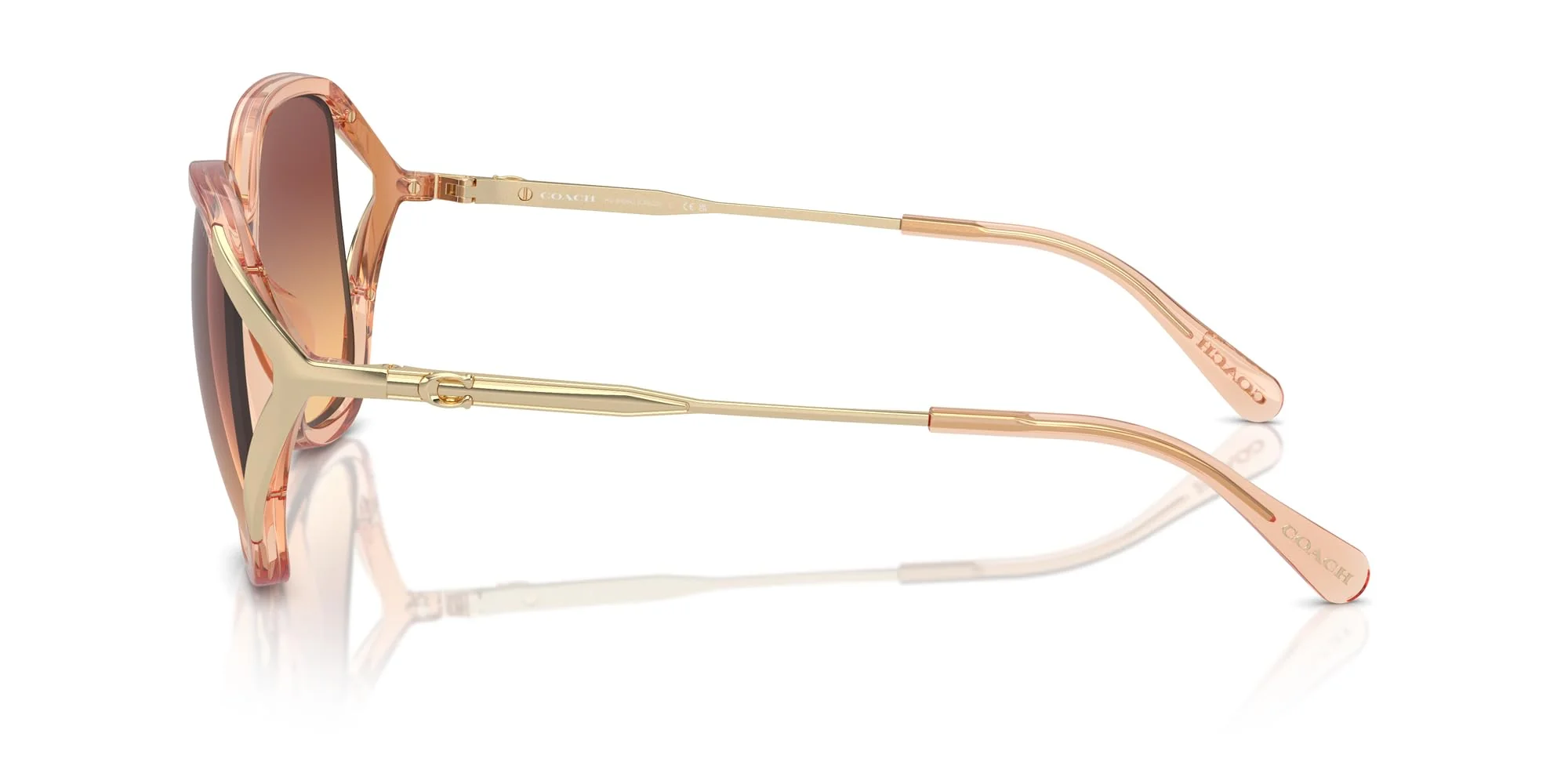 COACH Sunglasses HC 8396 U 556178 Cr620 Transparent Champagne Ma - Image 4