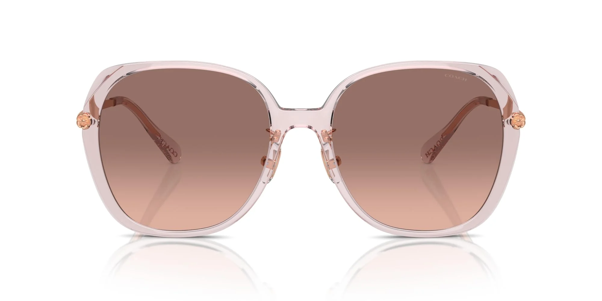 COACH Sunglasses HC 8403 D 570513 Cr636 Transparent Rose Brown P