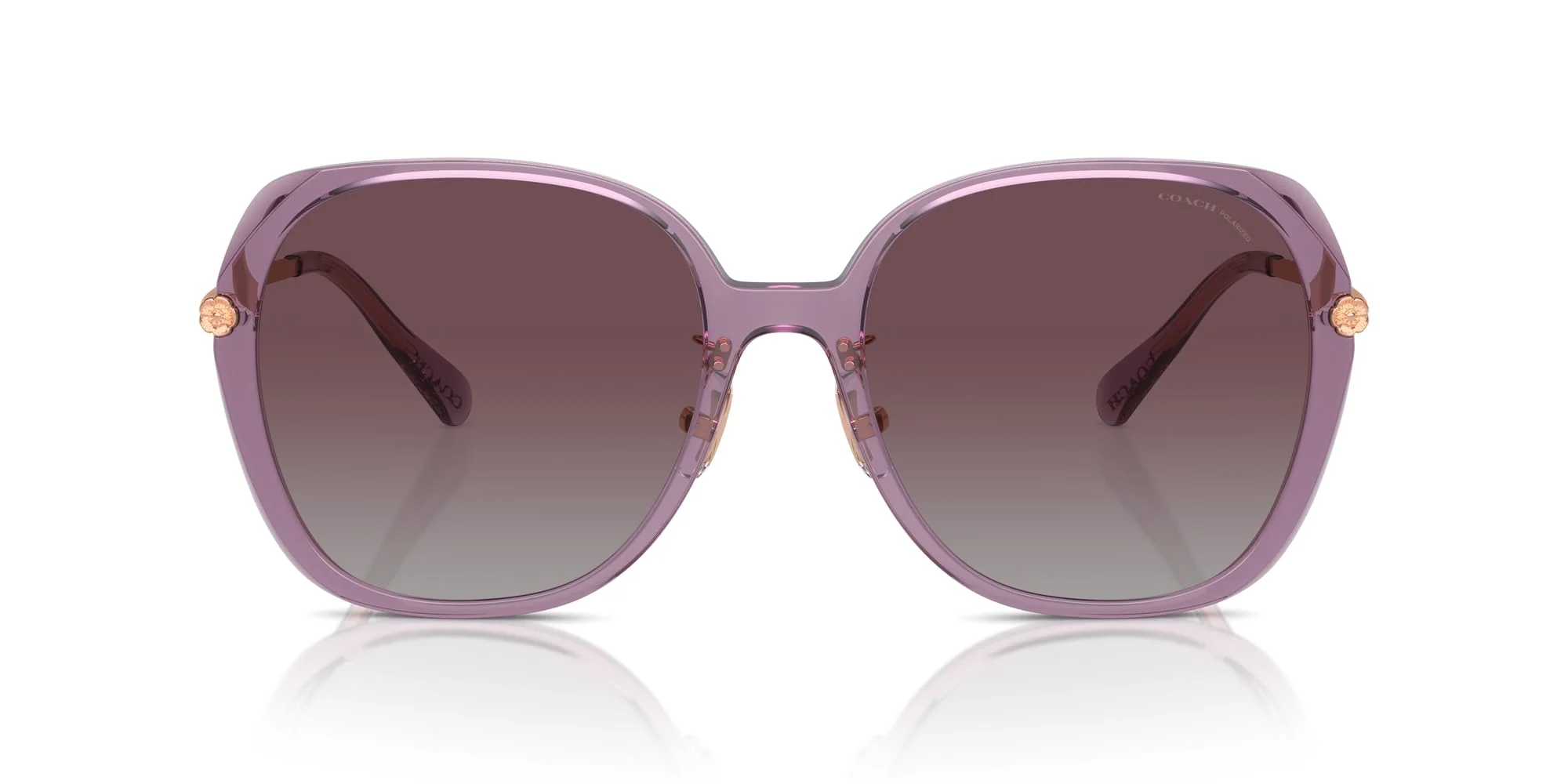 COACH Sunglasses HC 8403 D 582562 Cr636 Transparent Purple Grey