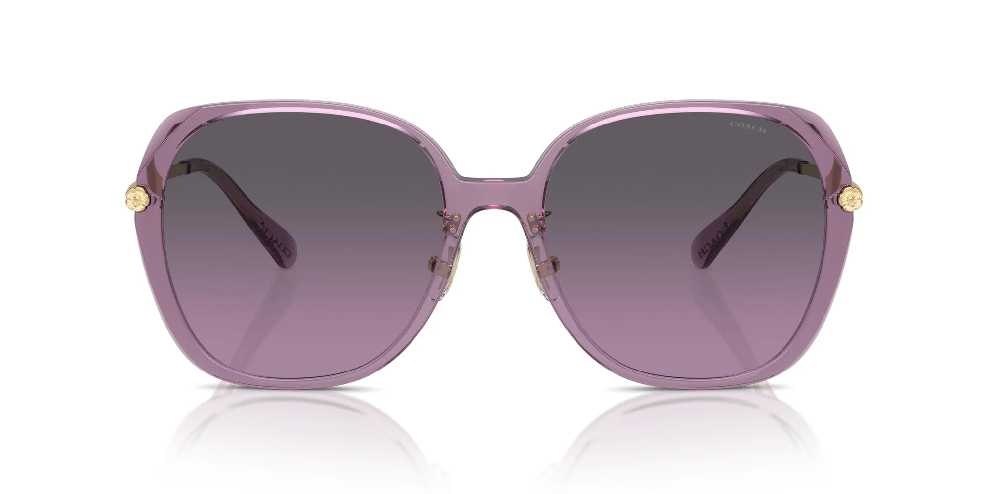 COACH Sunglasses HC 8403 D 582590 Cr636 Transparent Purple Grey