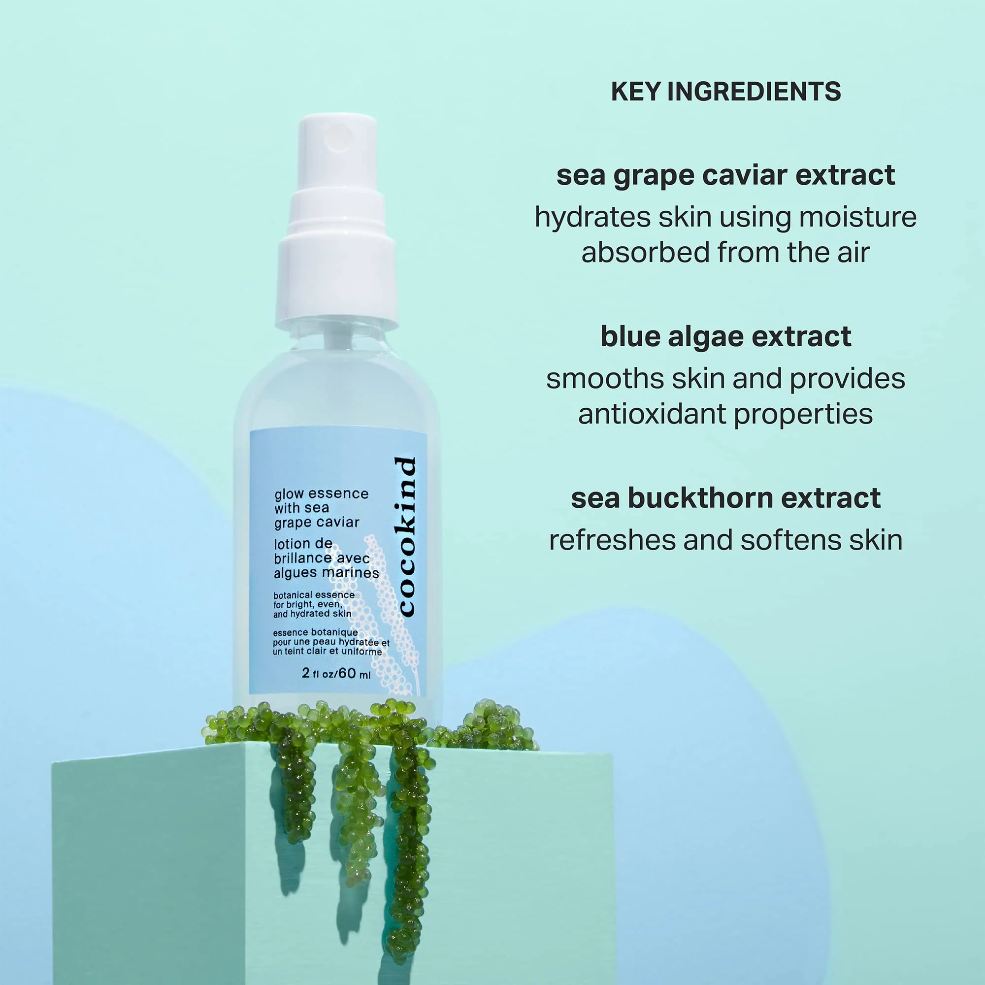 Cocokind Glow Essence with Sea Grape Caviar, Hydrating Primer and Facial Mist, Facial Moisturizer with Sea Buckthorn, Linoleic Acid, and Vitamin E - Image 5